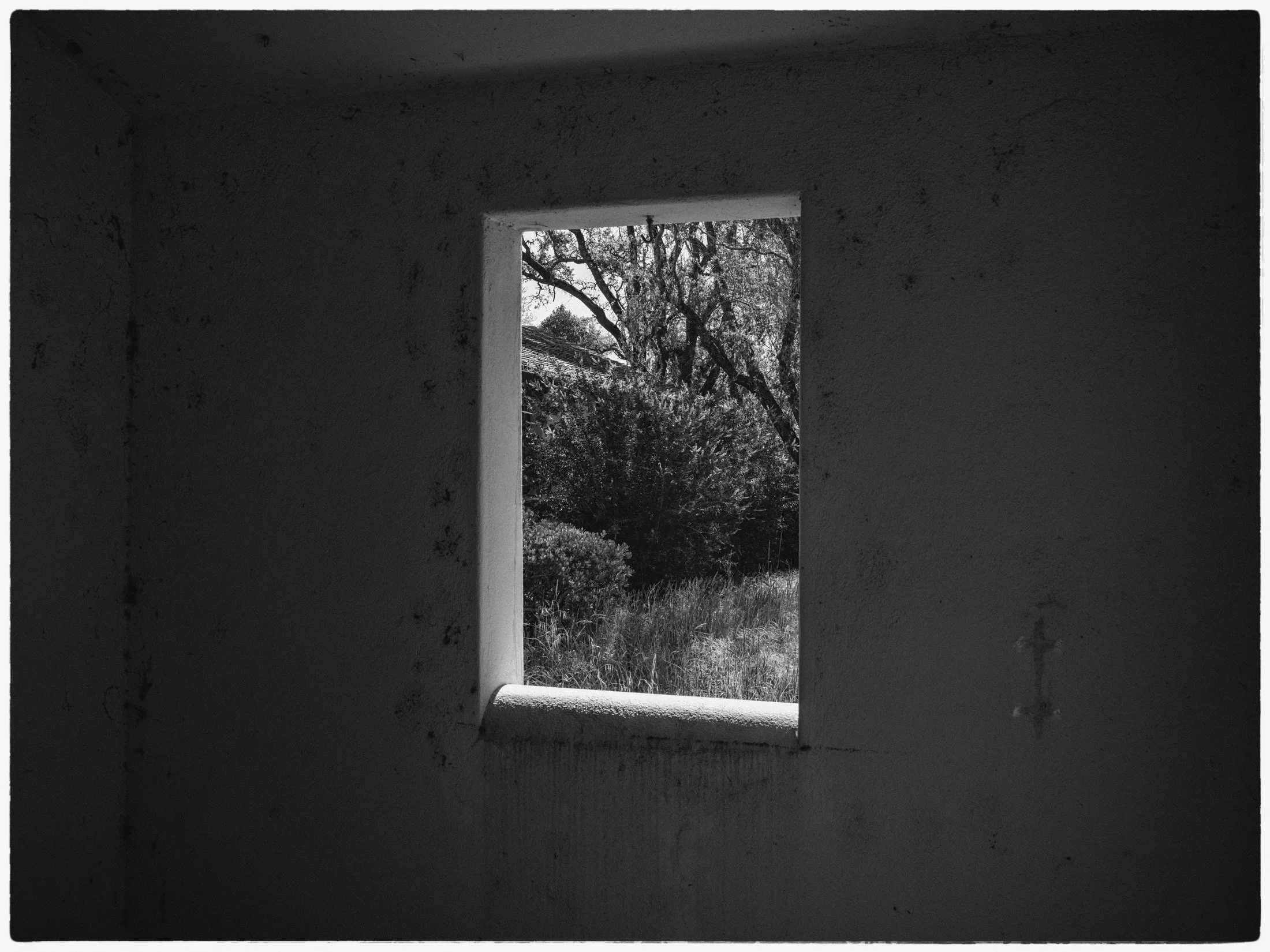 Window. Building #4. Sonoma. Spring 2026