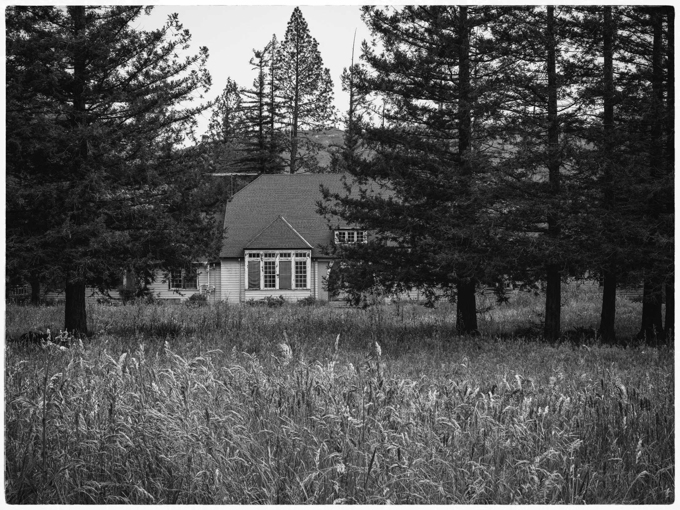 Walnut Building. Sonoma. Spring 2026