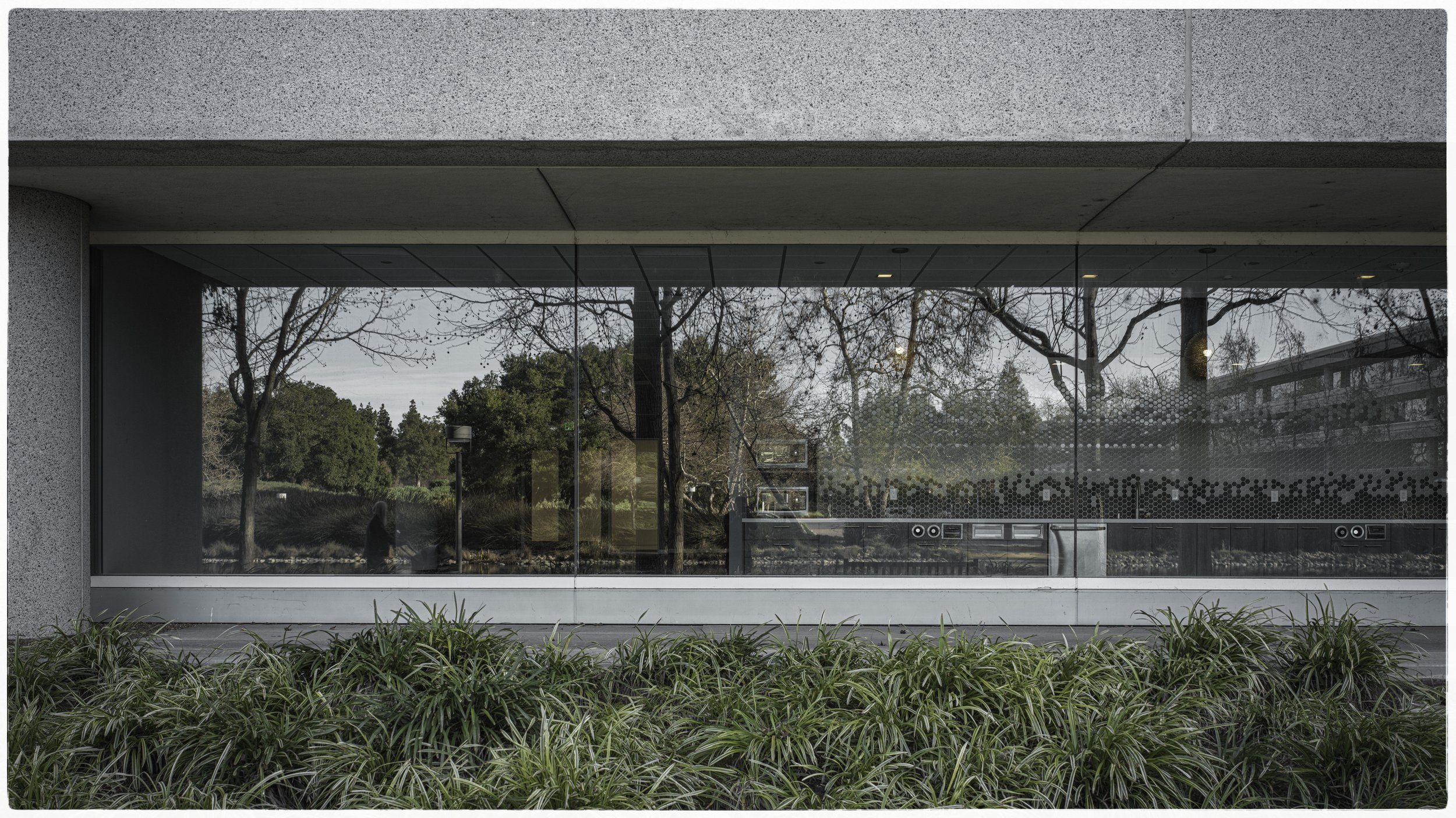 Modern building with large glass window, reflecting trees and outdoor scenery, with greenery in front.