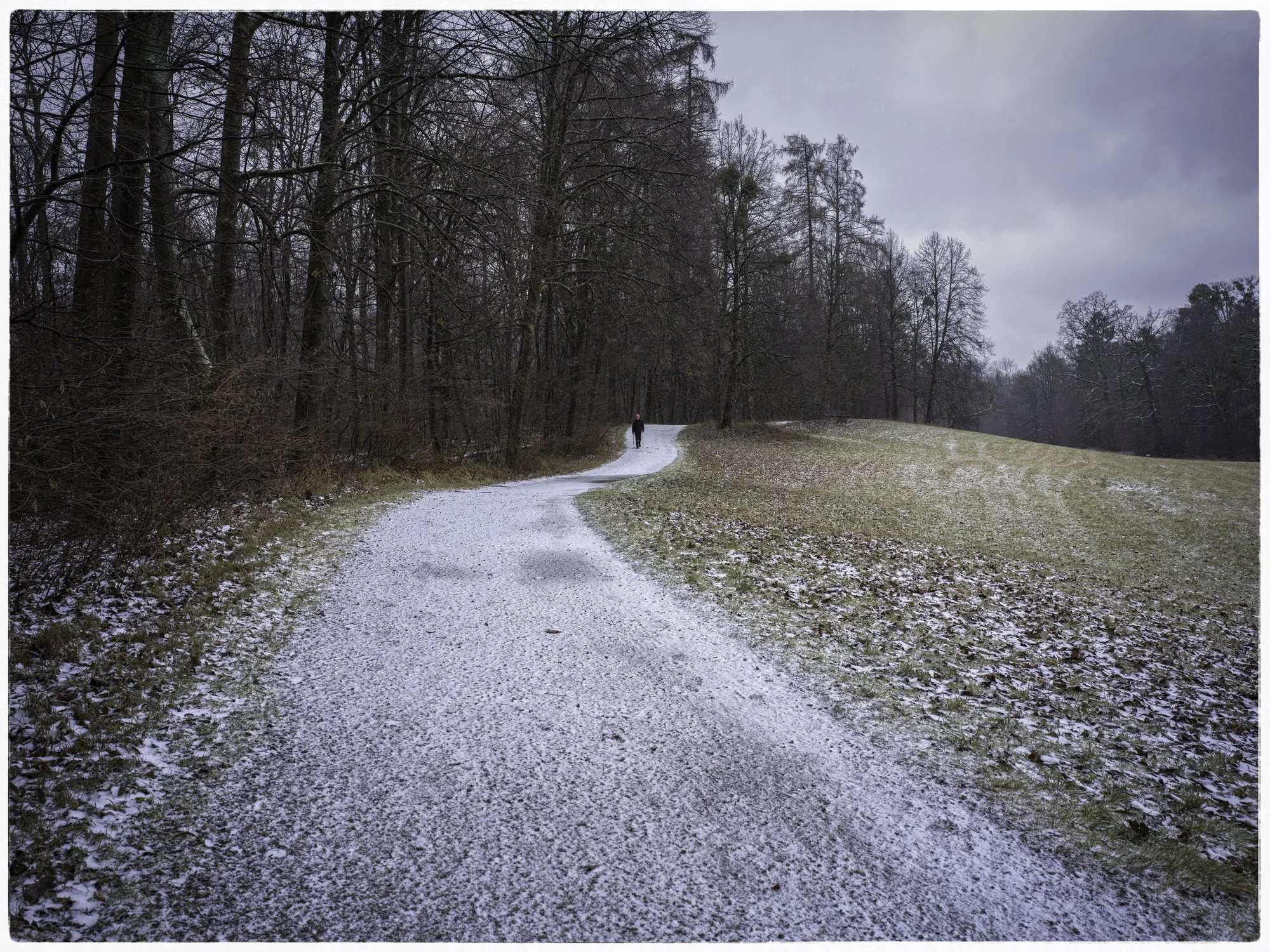 A solitary person walking on a snow dusted trail in a park with leafless trees and an overcast sky.