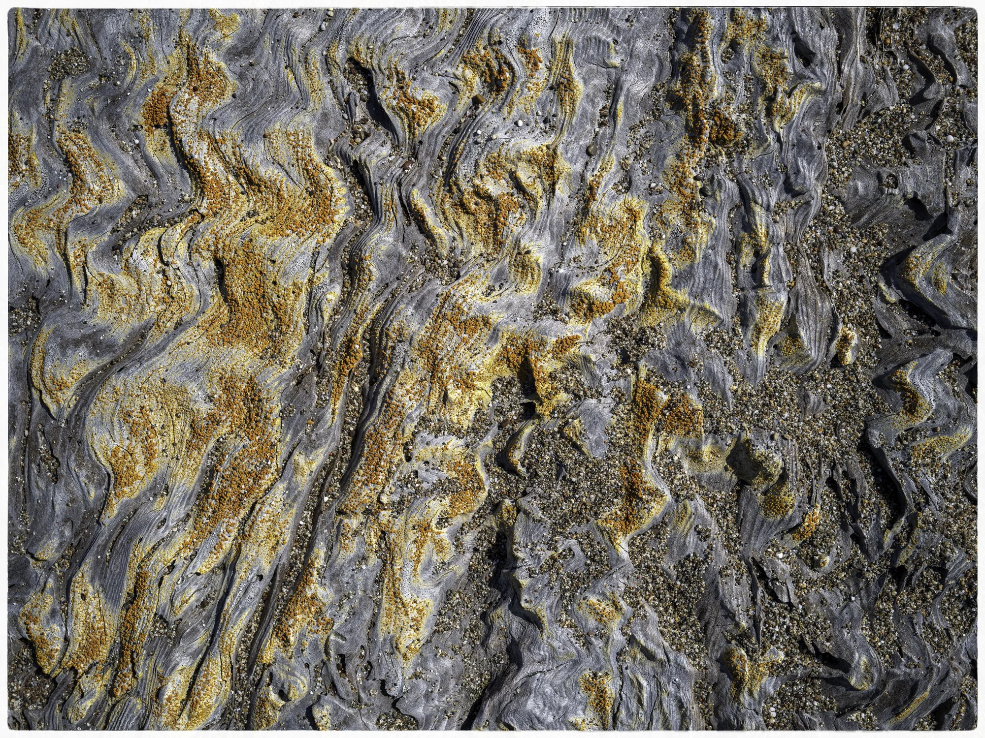 Close-up view of a rocky surface with alternating gray and brownish layers and patches of orange lichen or moss.