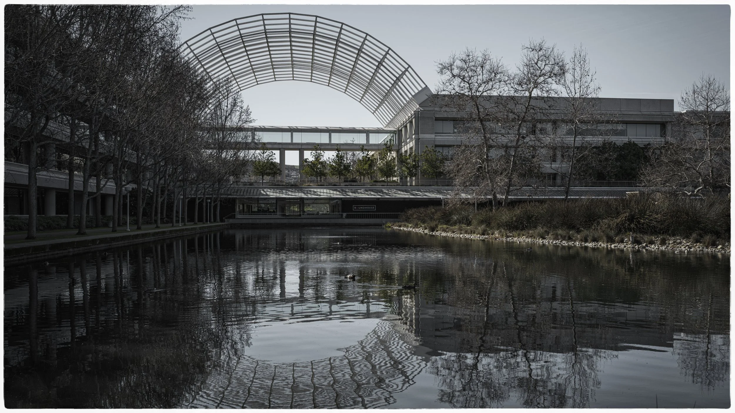 Modern building with a curved metal arch over a glass walkway, reflected in a pond with ducks, surrounded by trees and bushes.