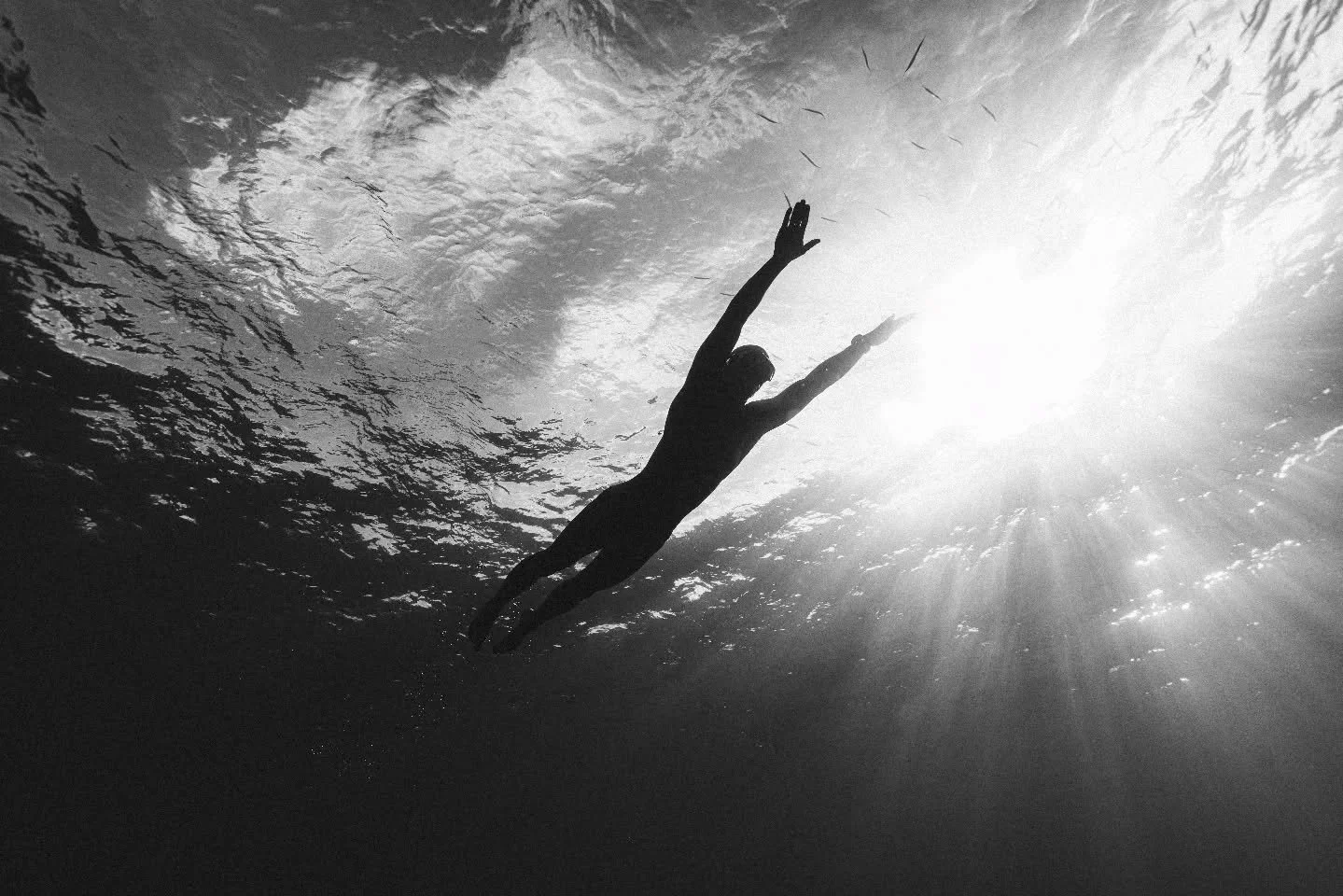 💧19 years ago I started freediving out of curiosity. Curiosity that soon turned into a passion that has been growing and has carried me ever since. A deep love for self discovery and personal development, all while venturing a little deeper into the