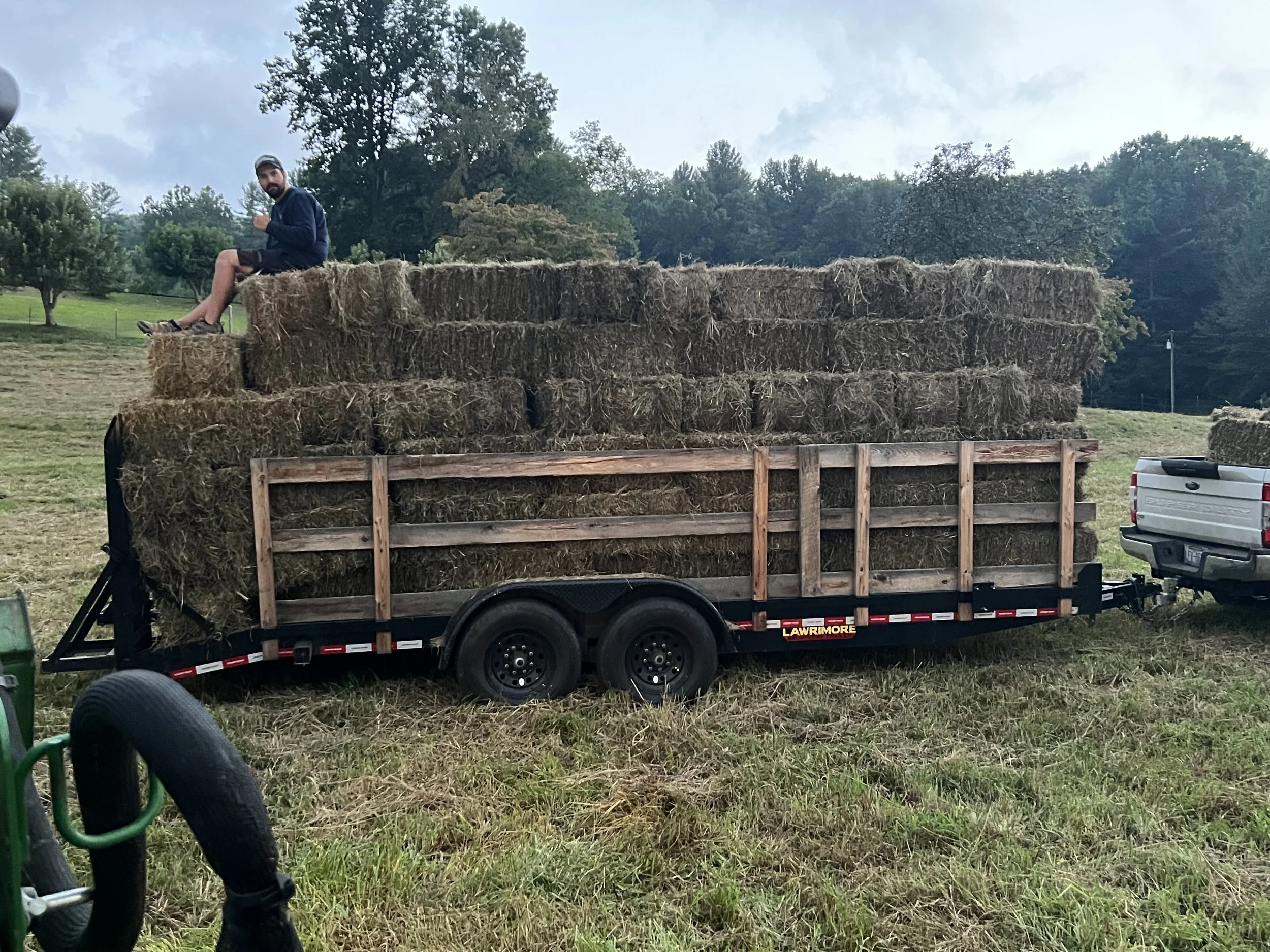 Goat/Cow Square Hay Bales
