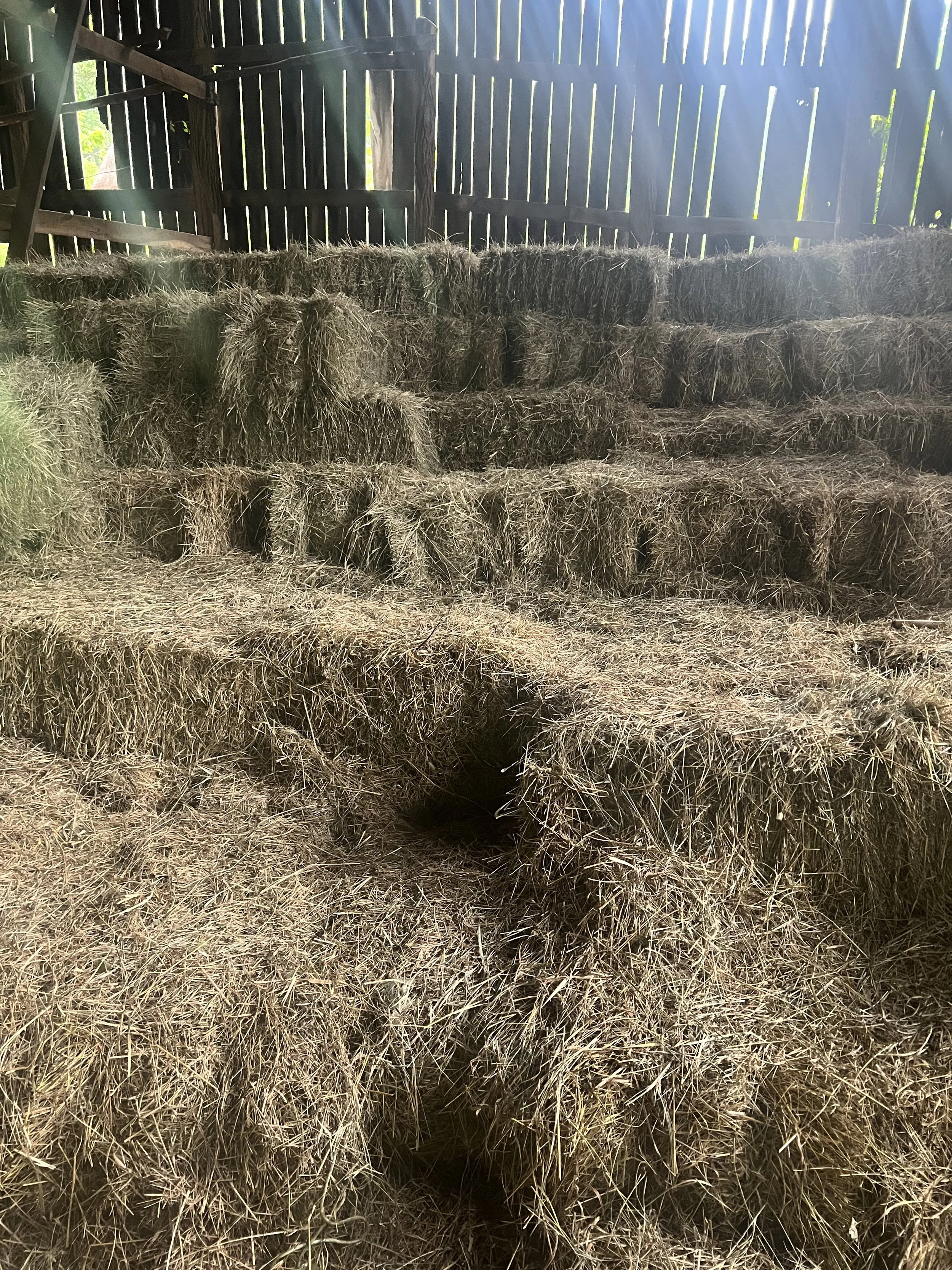 Bedding/Decoration Square Hay Bales