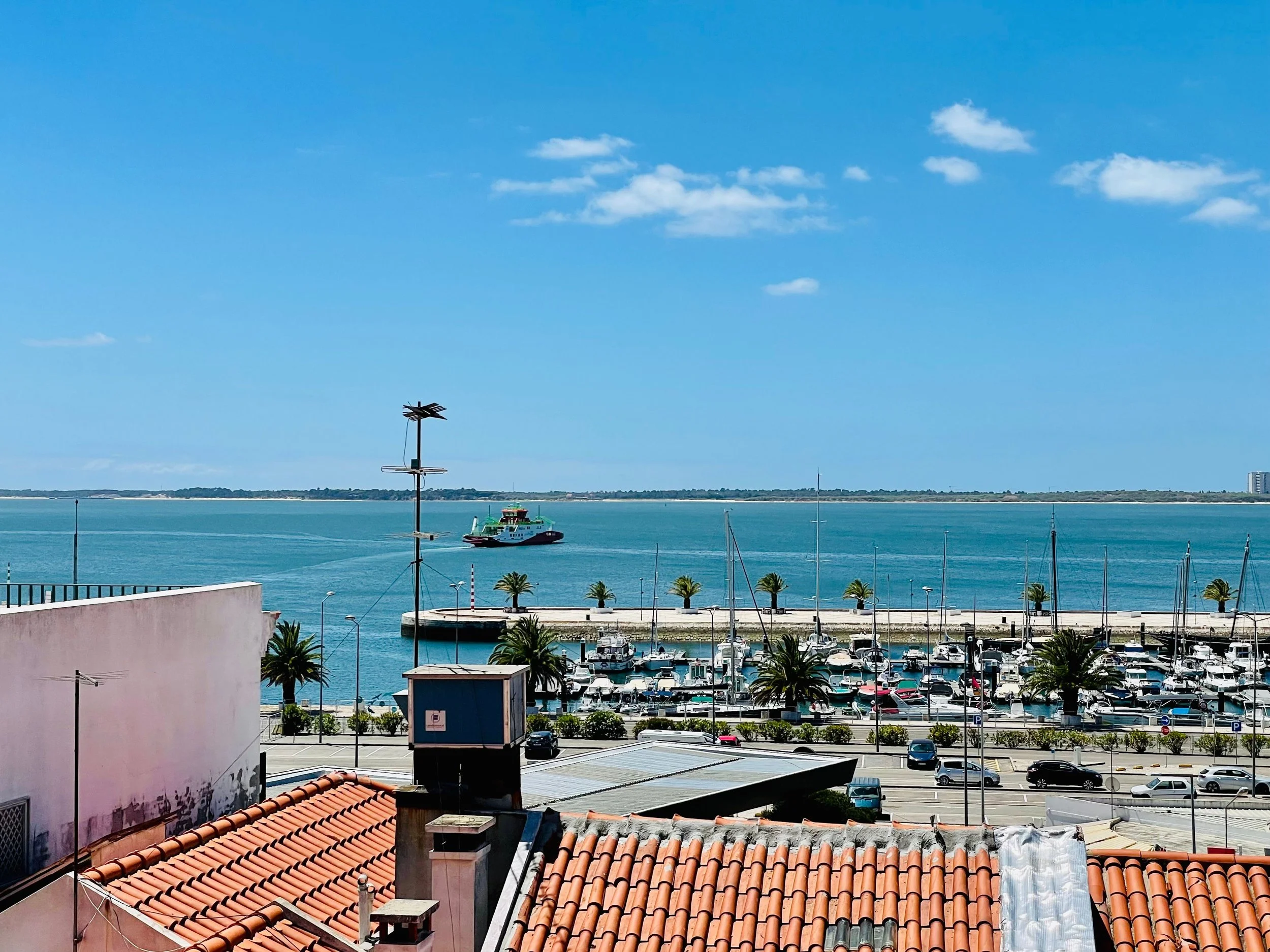 fotografia setúbal da consultoria seo setúbal por catarina encarnação, foto de egor kunovsky pexels