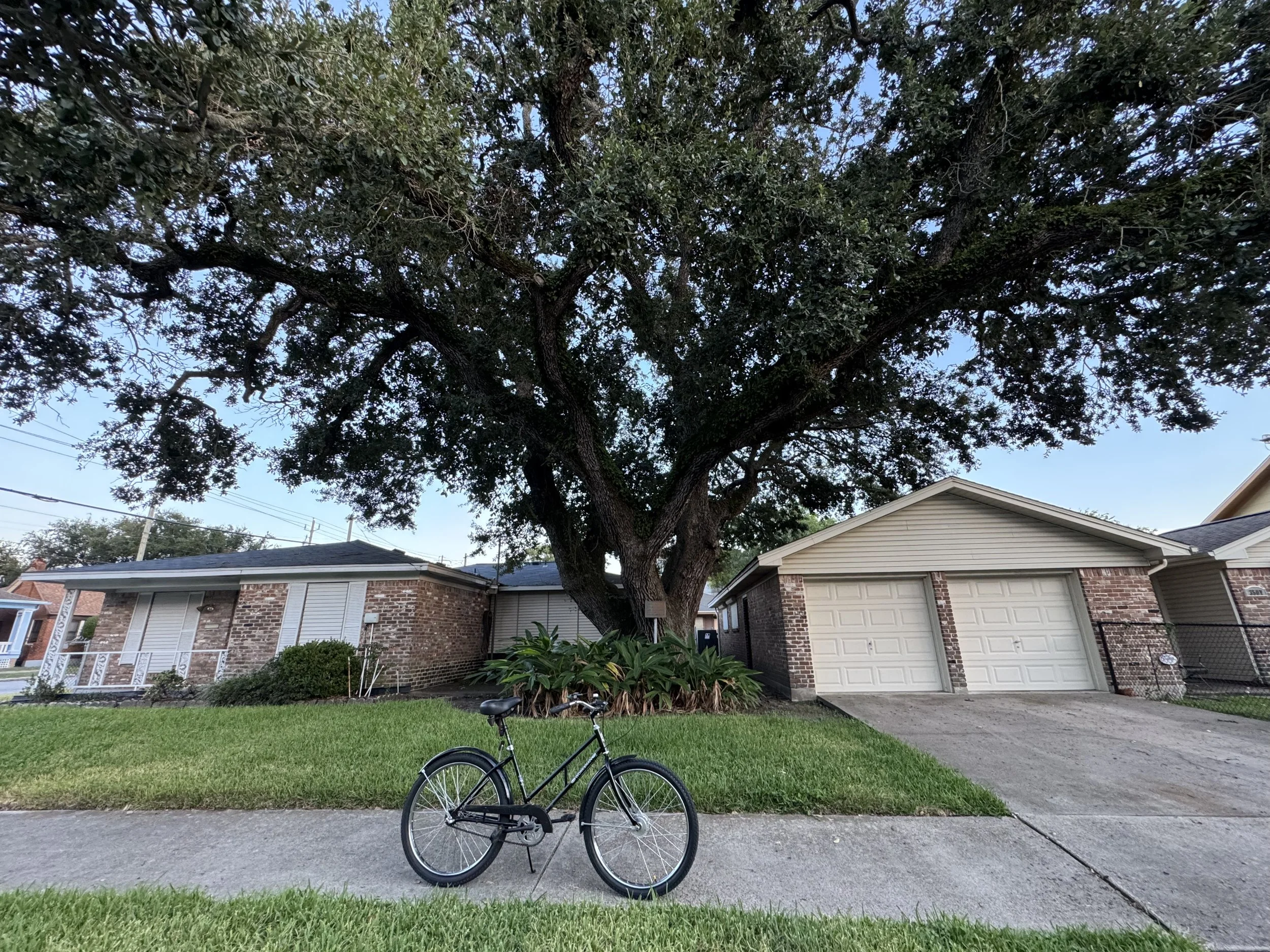 A black bicycle parked near a sidewalk in front of a suburban house with a large tree and green lawn.