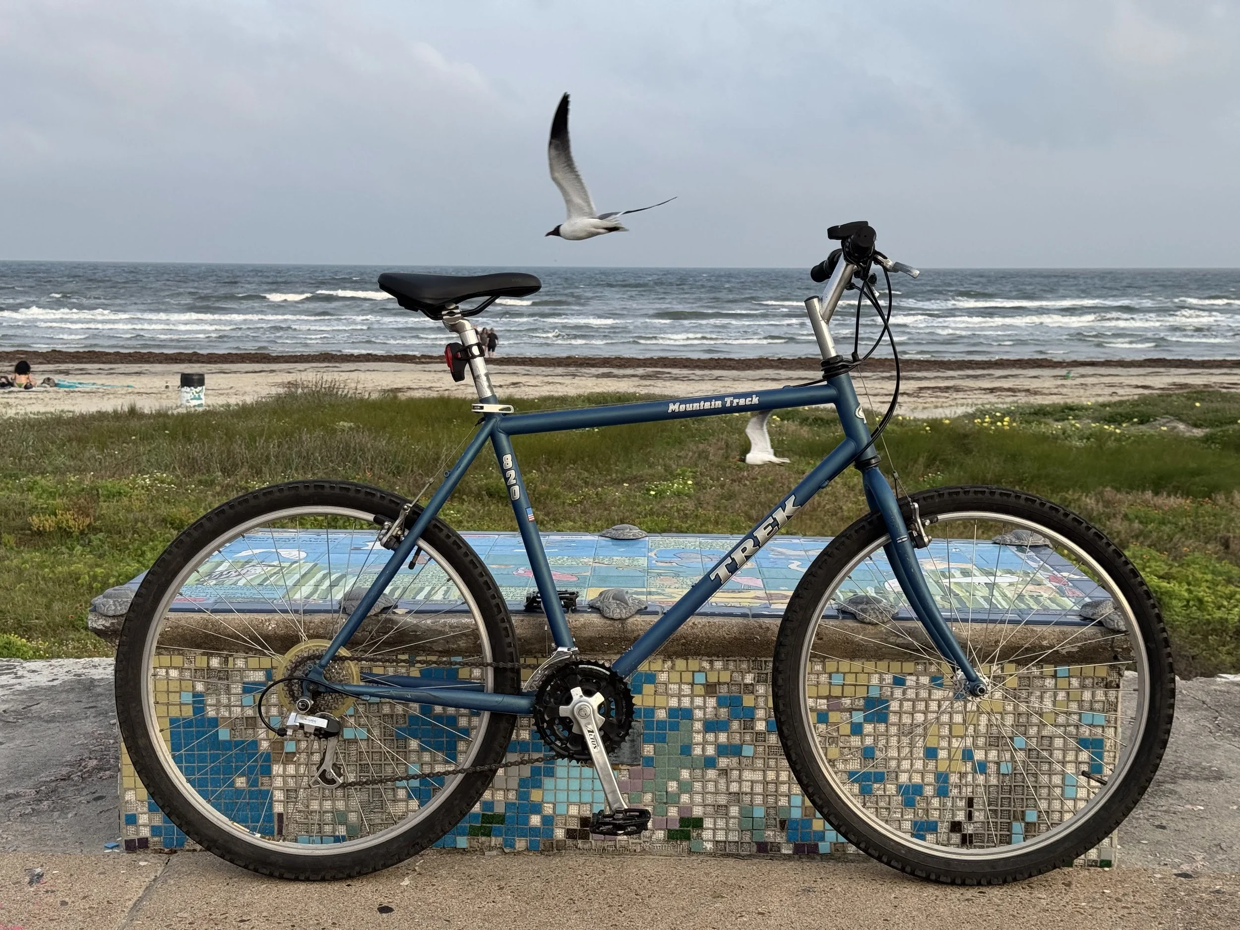 Blue Trek mountain bike parked on a decorative mosaic wall near a beach, with sand, ocean waves, and a cloudy sky in the background. A seagull is flying nearby.