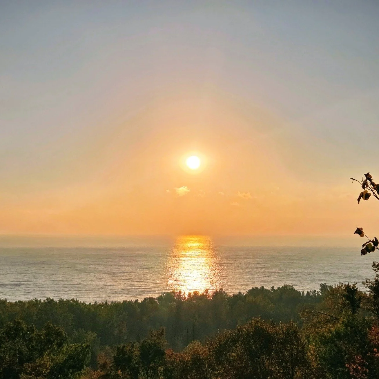 Out on M119, heading home after a fun time at @pondhillfarm . Nothing beats Northern Michigan sunsets.
 #m119 #tunneloftrees #northernmichigansunset