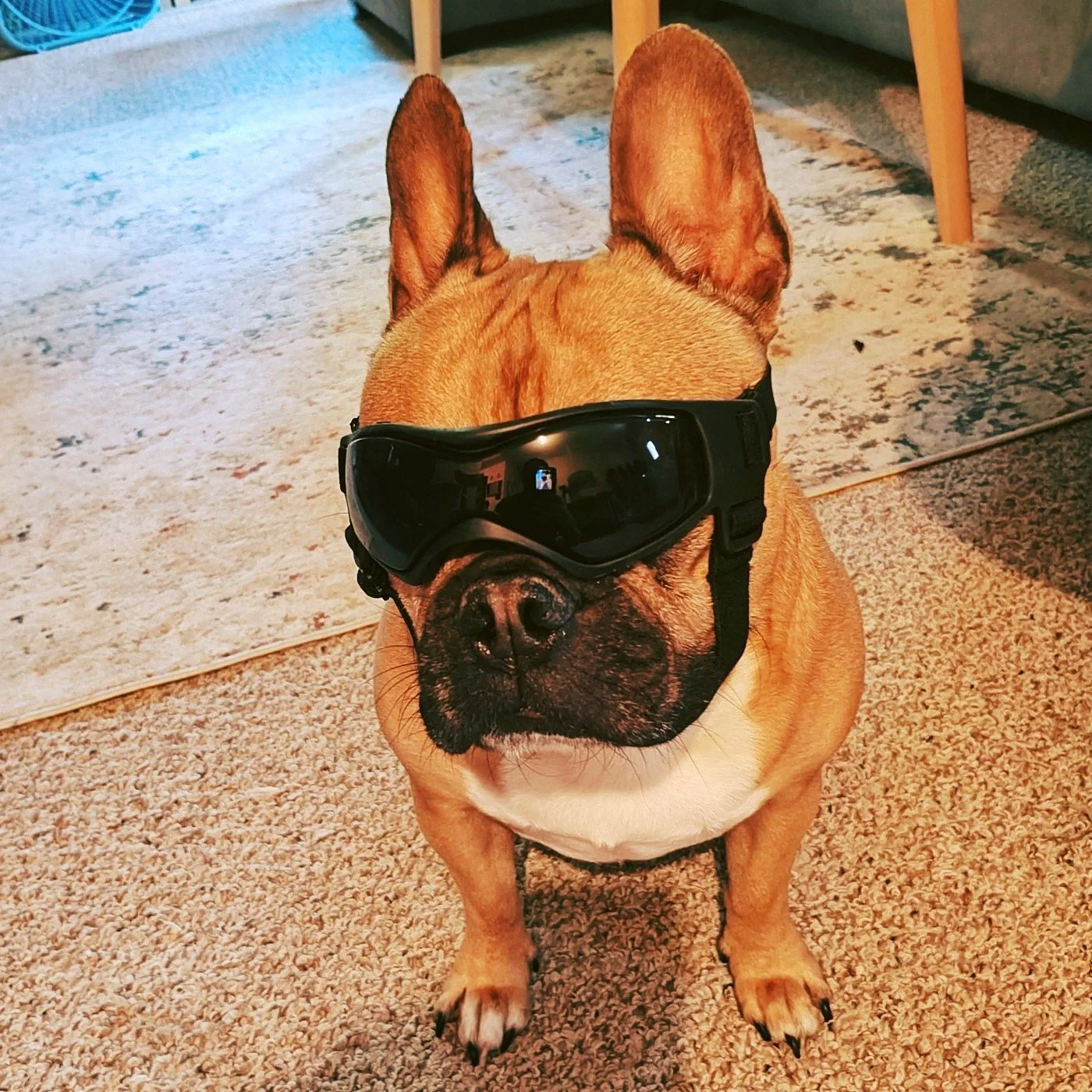 Even Maverick practices safety when it comes to riding. In my 24 years of riding, I have only gone down twice, but both times I had the proper gear and walked away. Safety First! What gear would you never ride without?