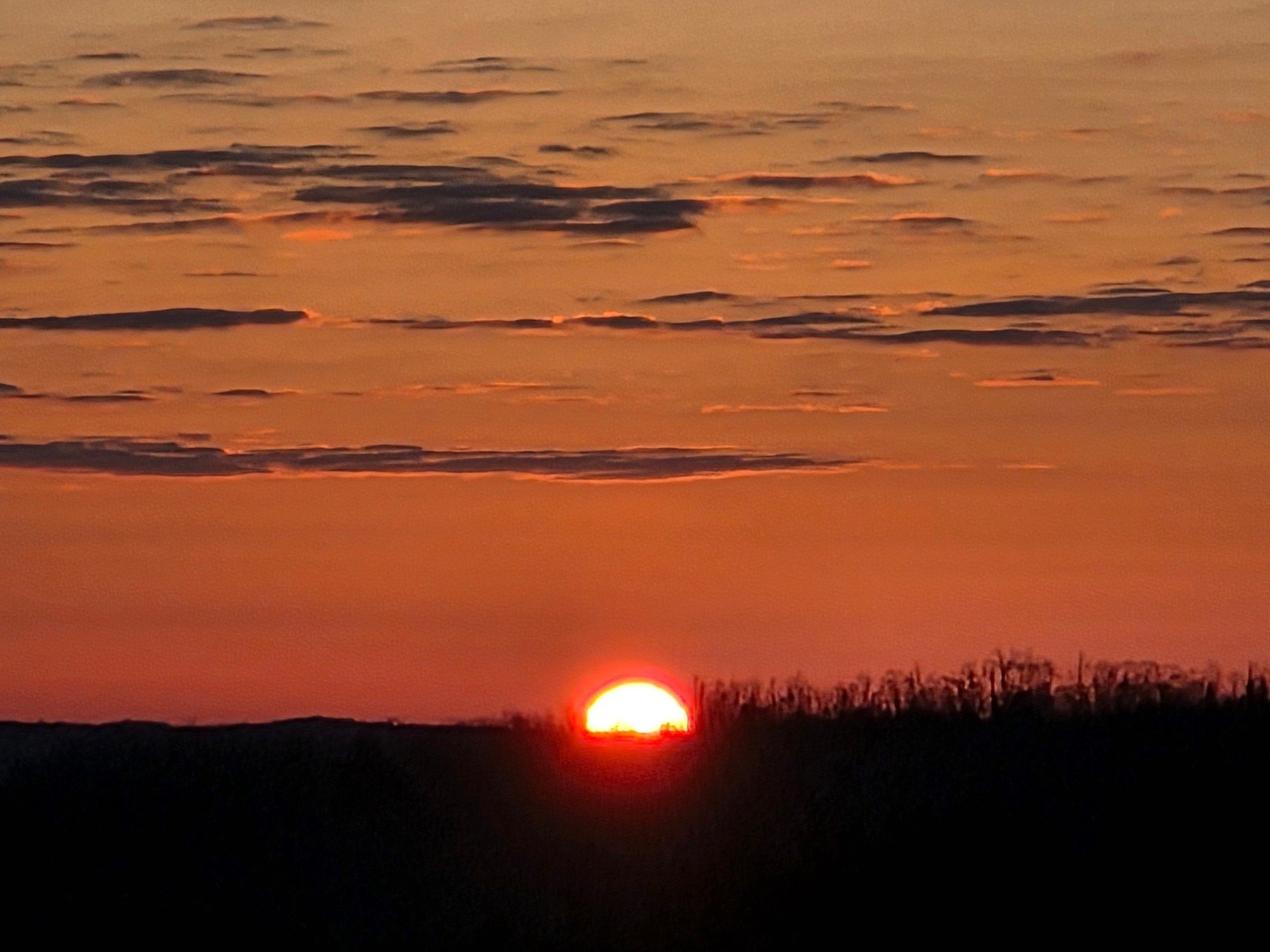 Sometimes, the silence of the morning can drown out the noises of the day in the most perfect way.
 #quietmoments #reflection