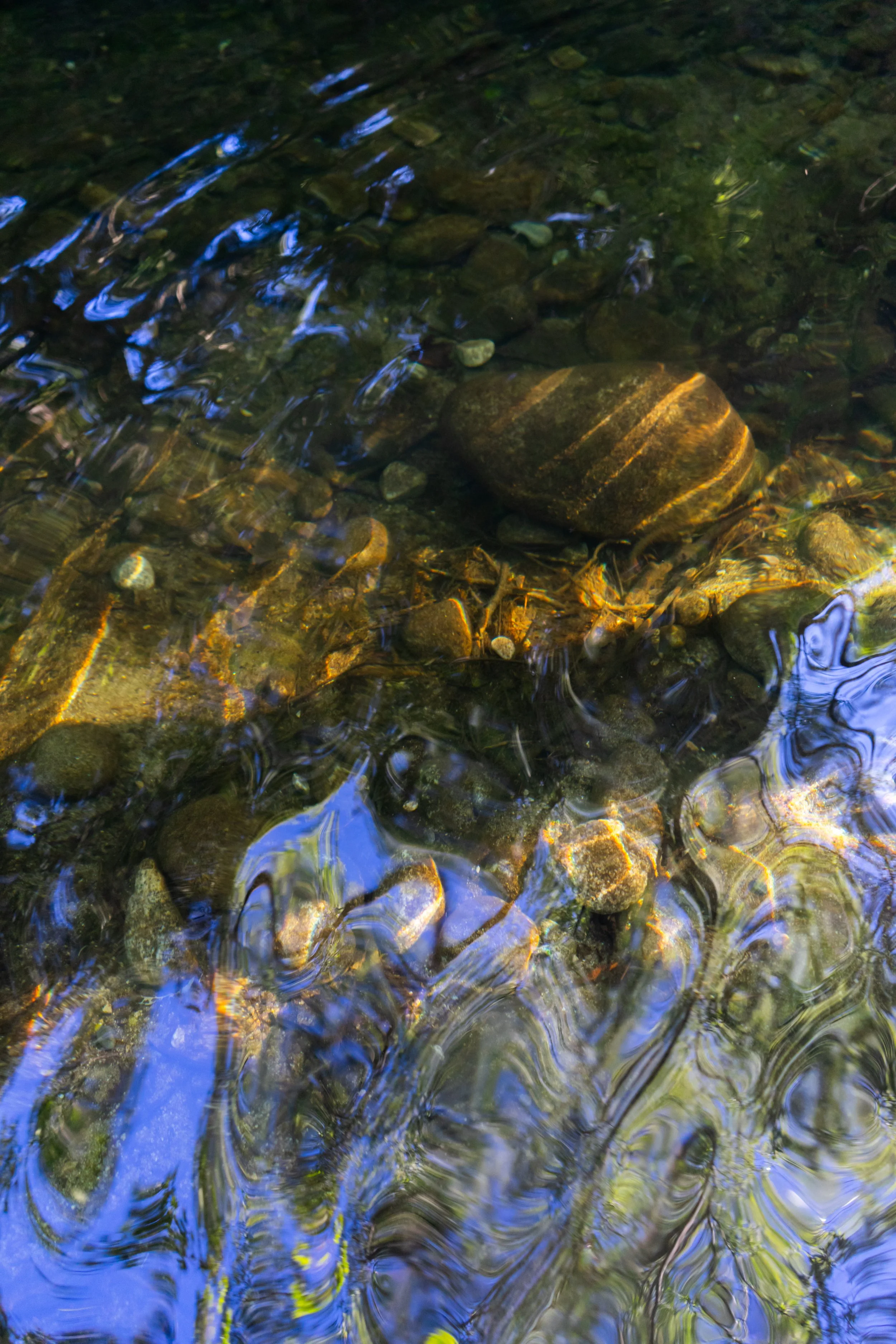 Carmel Valley Water.jpg