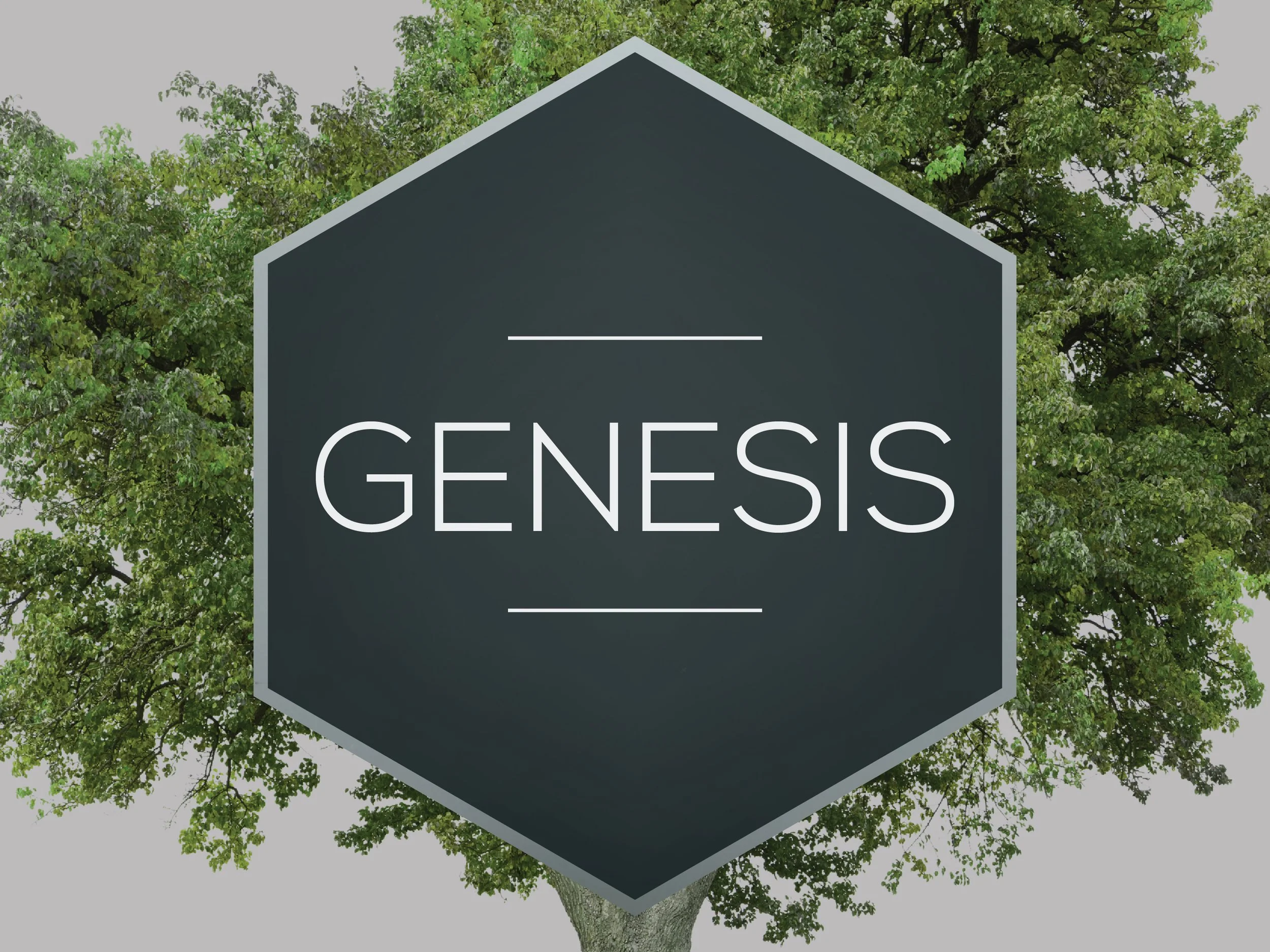 Genesis sermon series