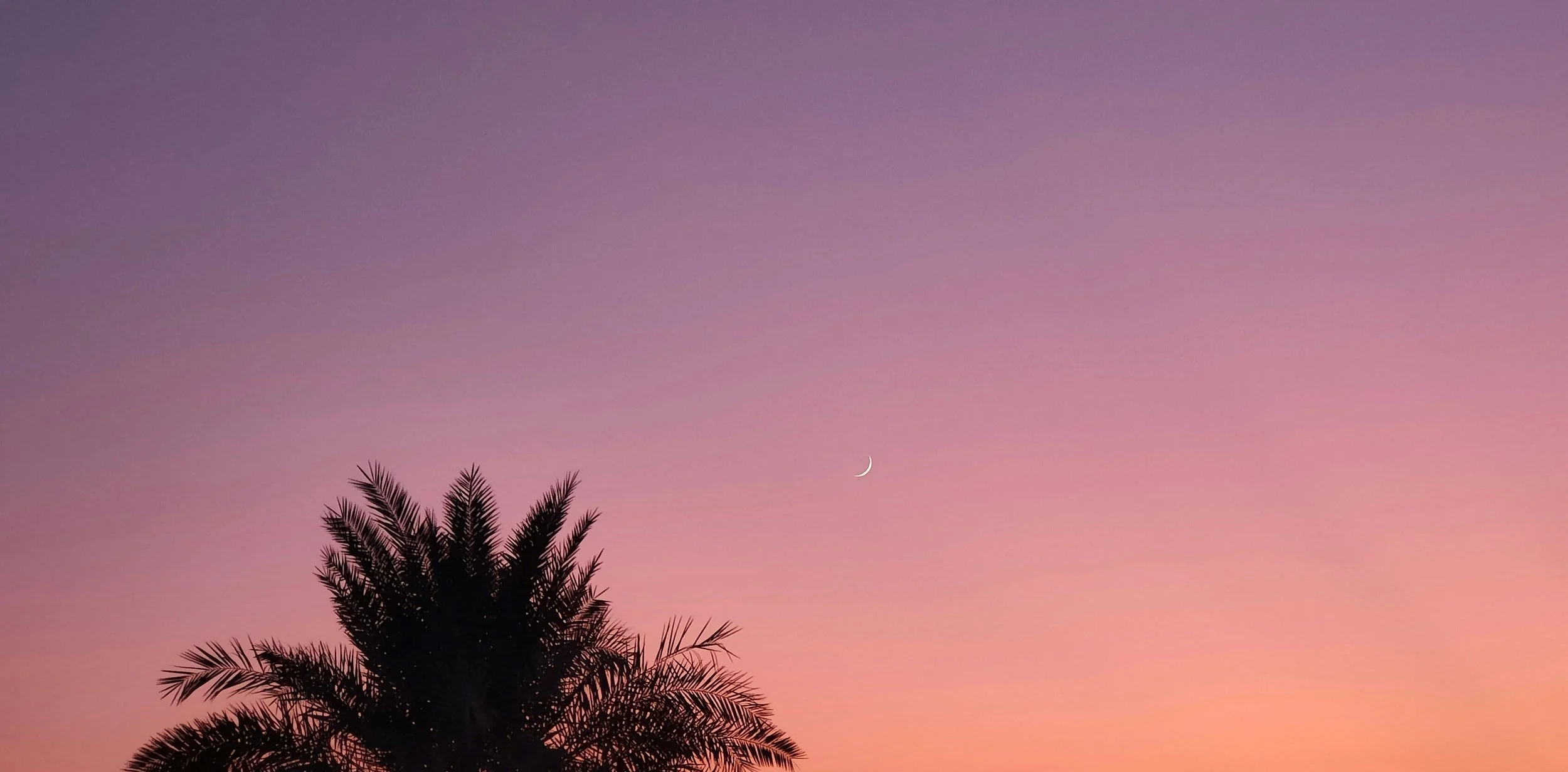 The Snow Moon: Illumination for Your Magic