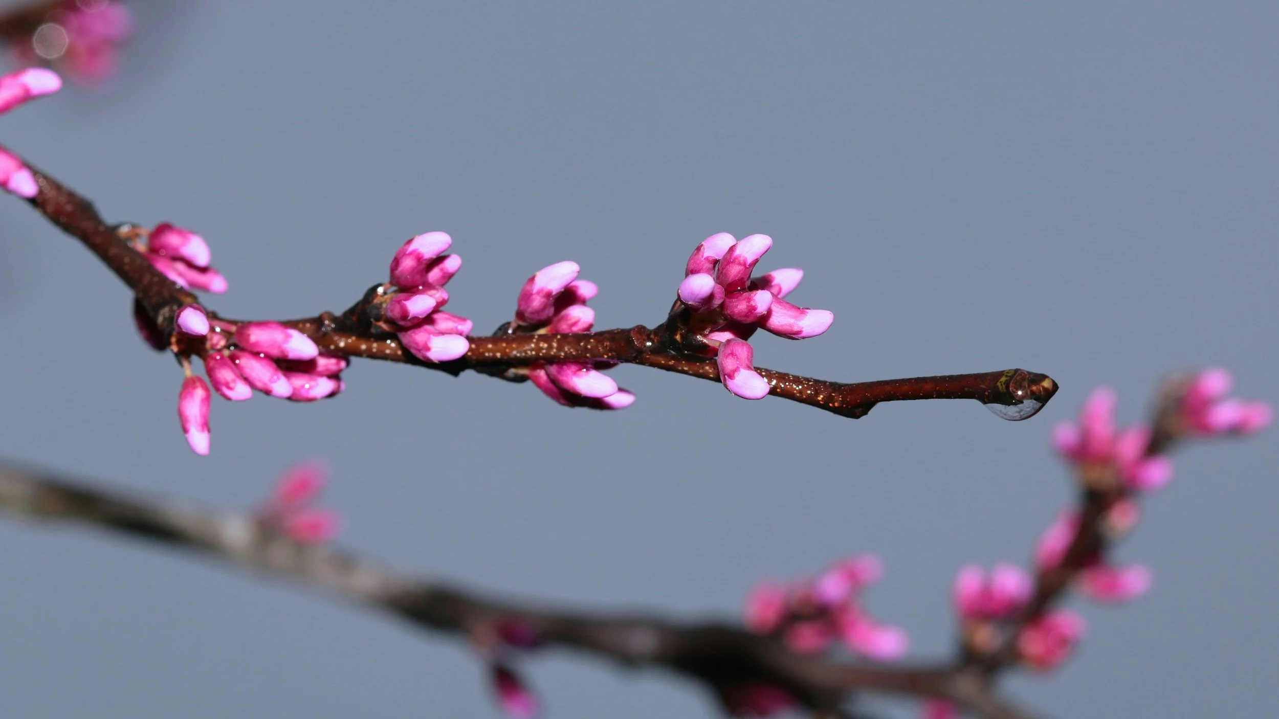 When the Light Shifts: How Your Magic Evolves With the Seasons