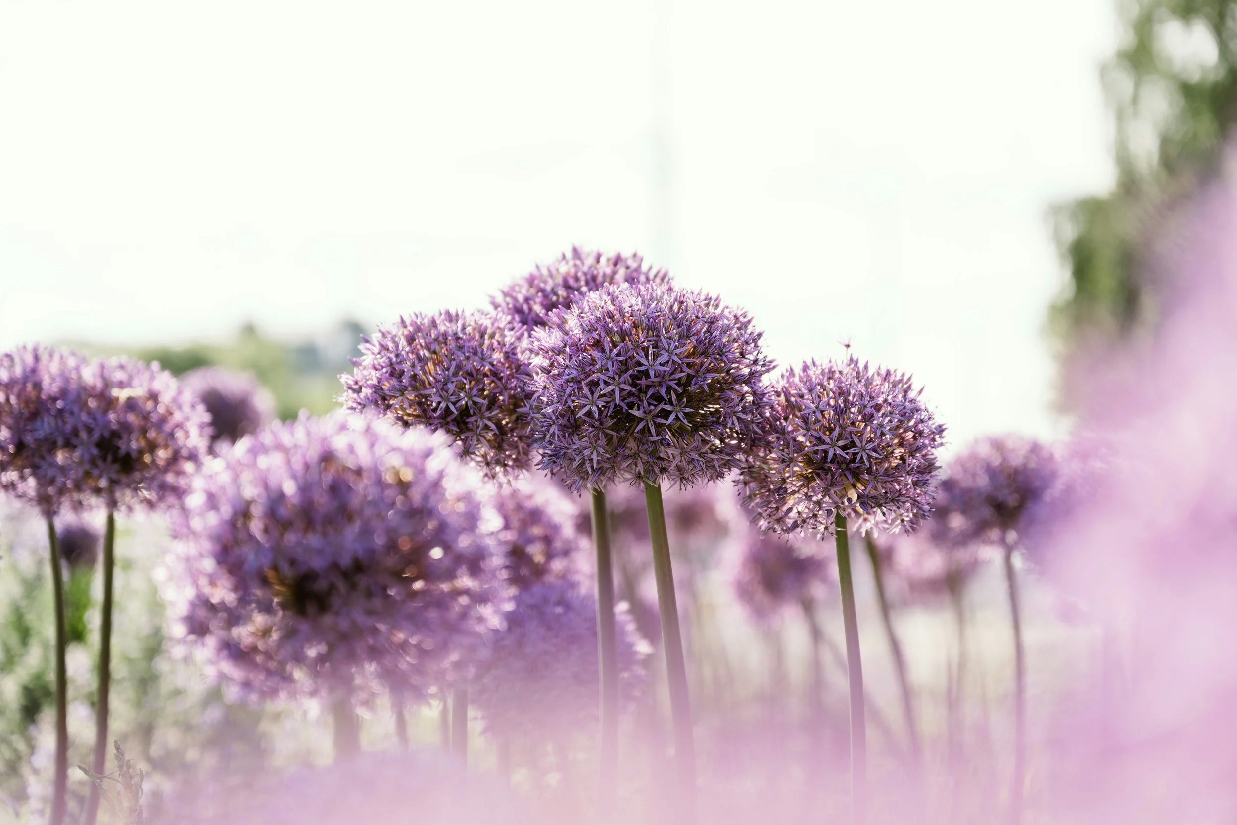 Spells That Grow With You: Returning to Old Magic in a New Season