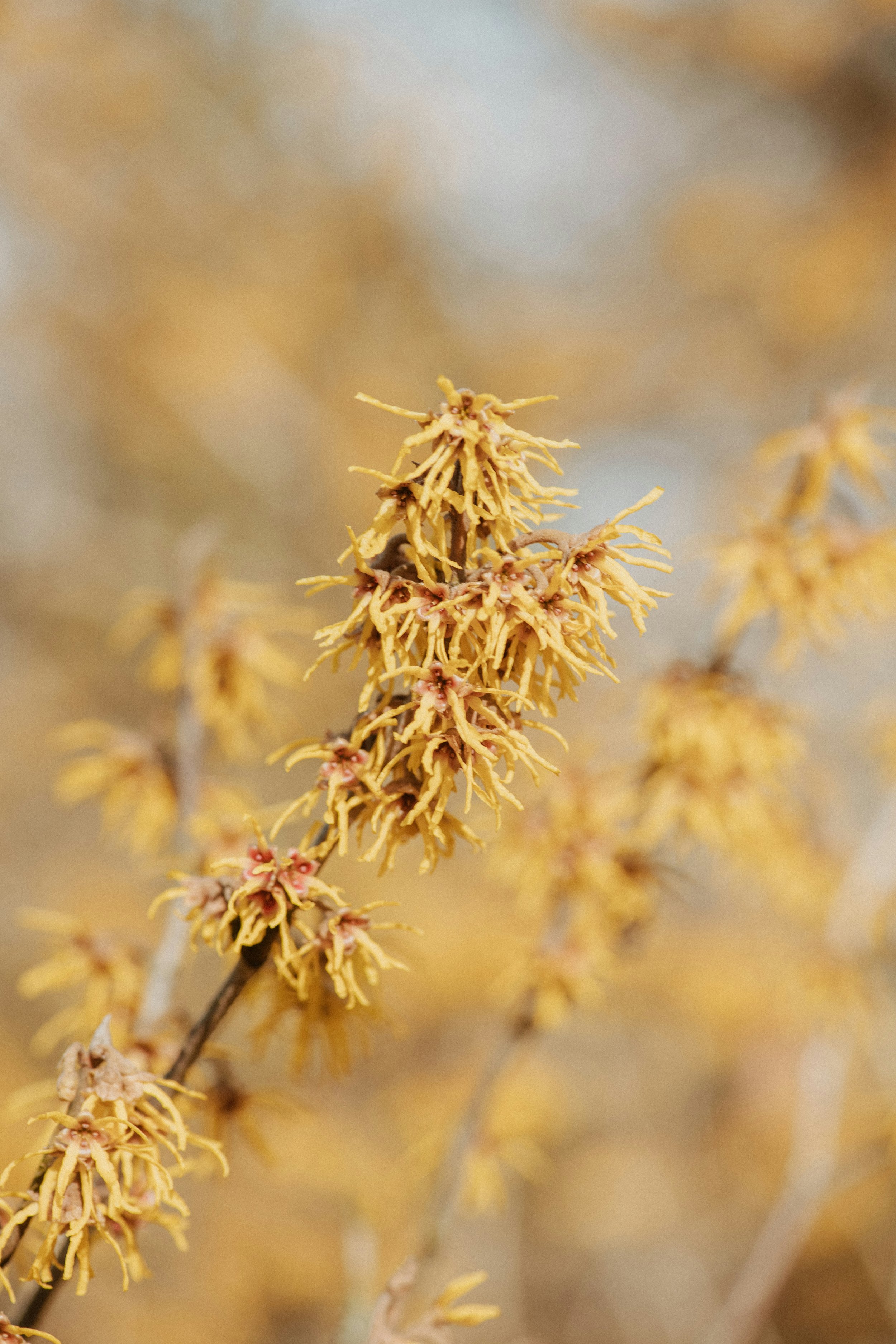 How to Build Magical Habits That Actually Stick