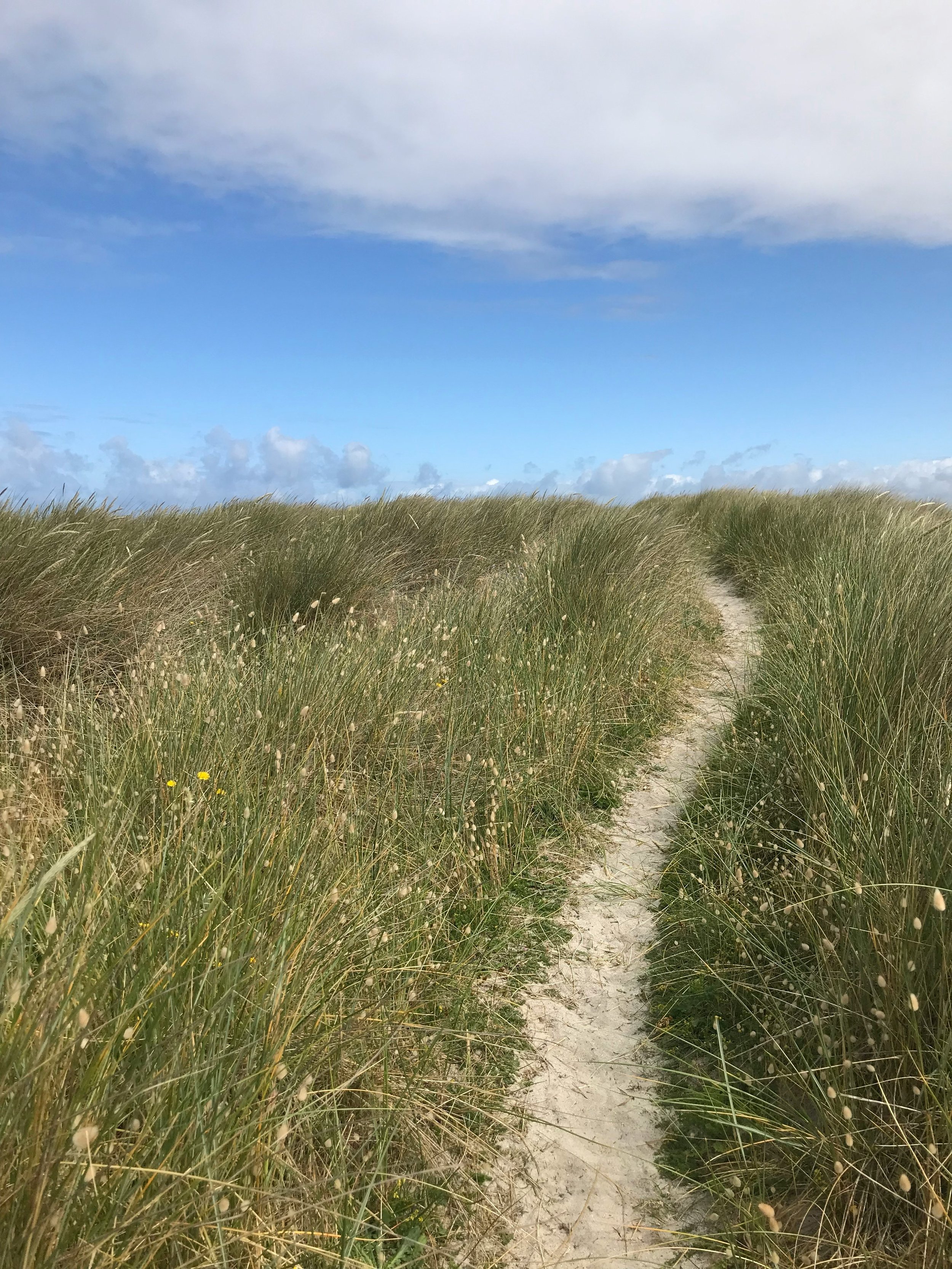 Start Your Quiet Path
