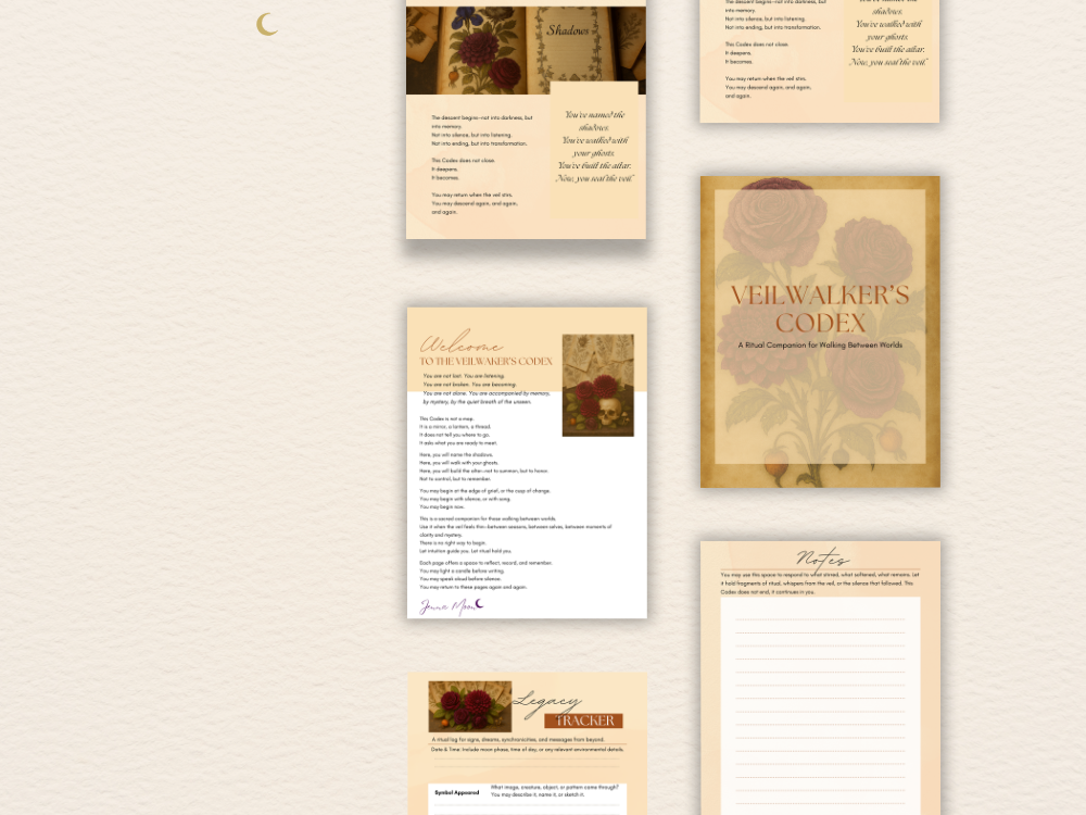 The Veilwalker's Codex