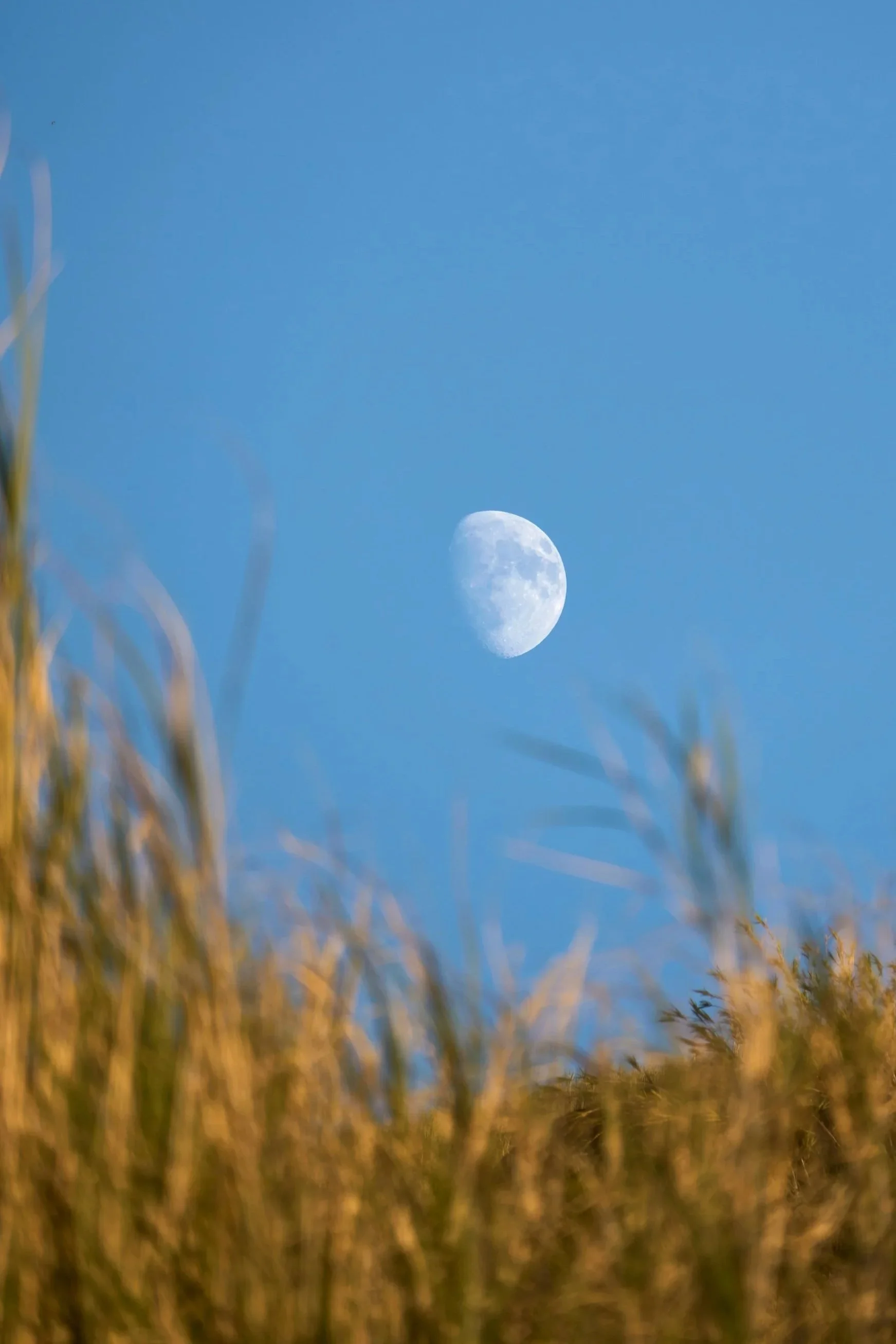 Moon & Seasonal Magic