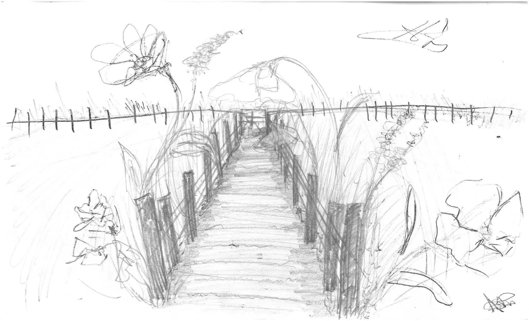 The Monochrome Trail