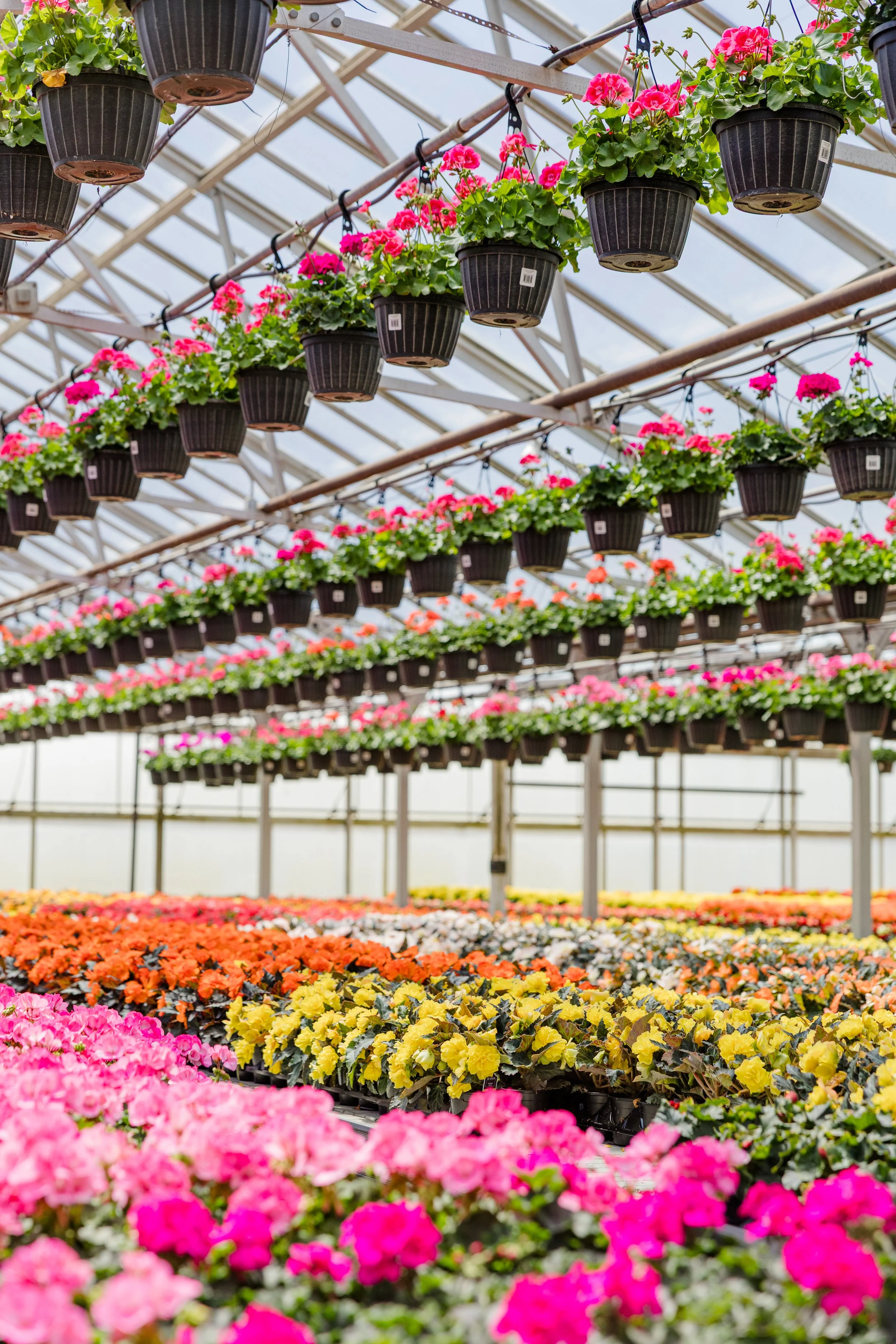 Theisen's Greenhouse-4603.jpg
