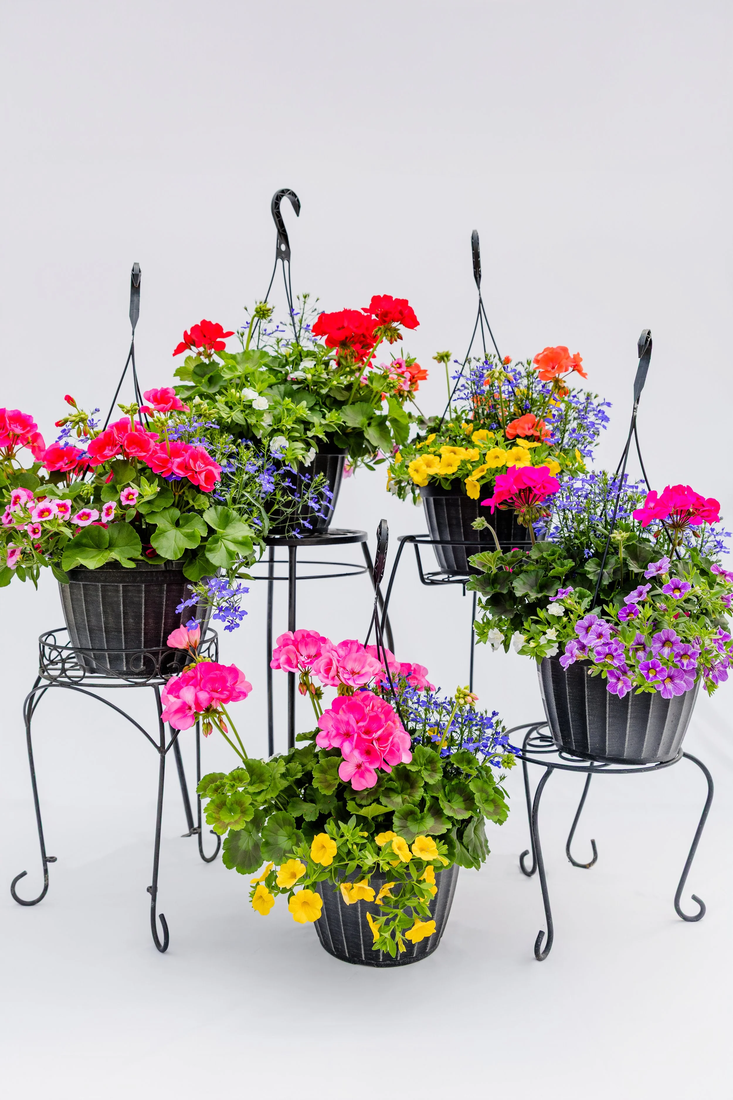 Theisen's Greenhouse-4099.jpg