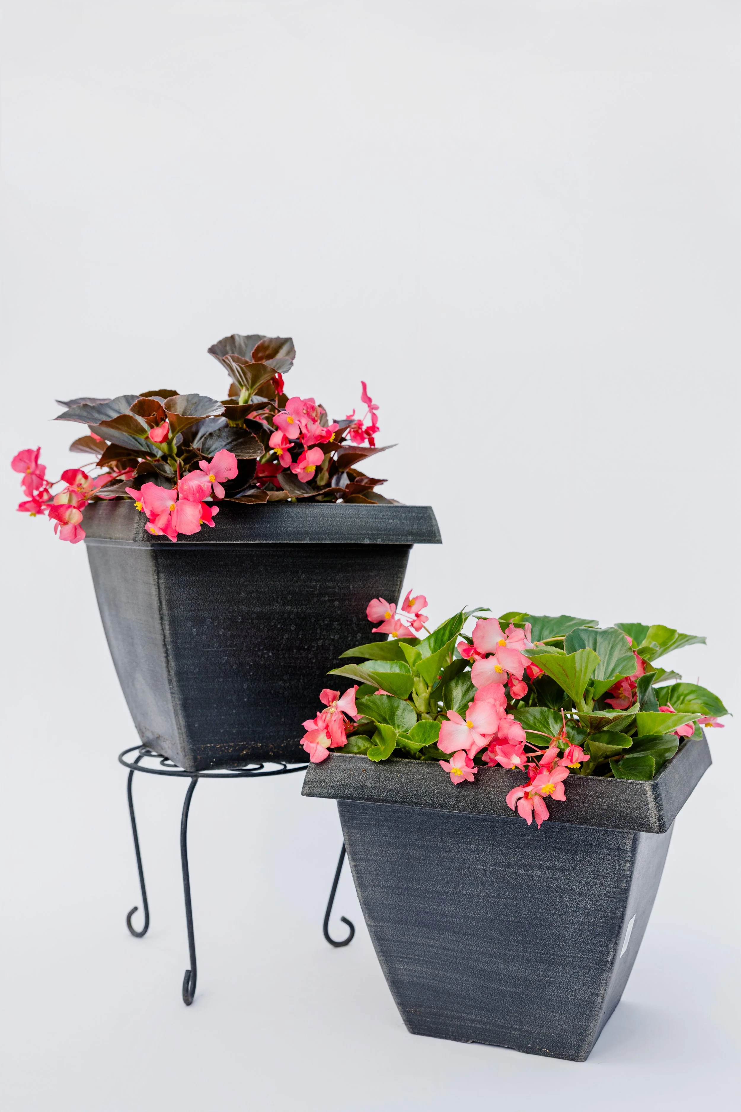 Theisen's Greenhouse-3881.jpg