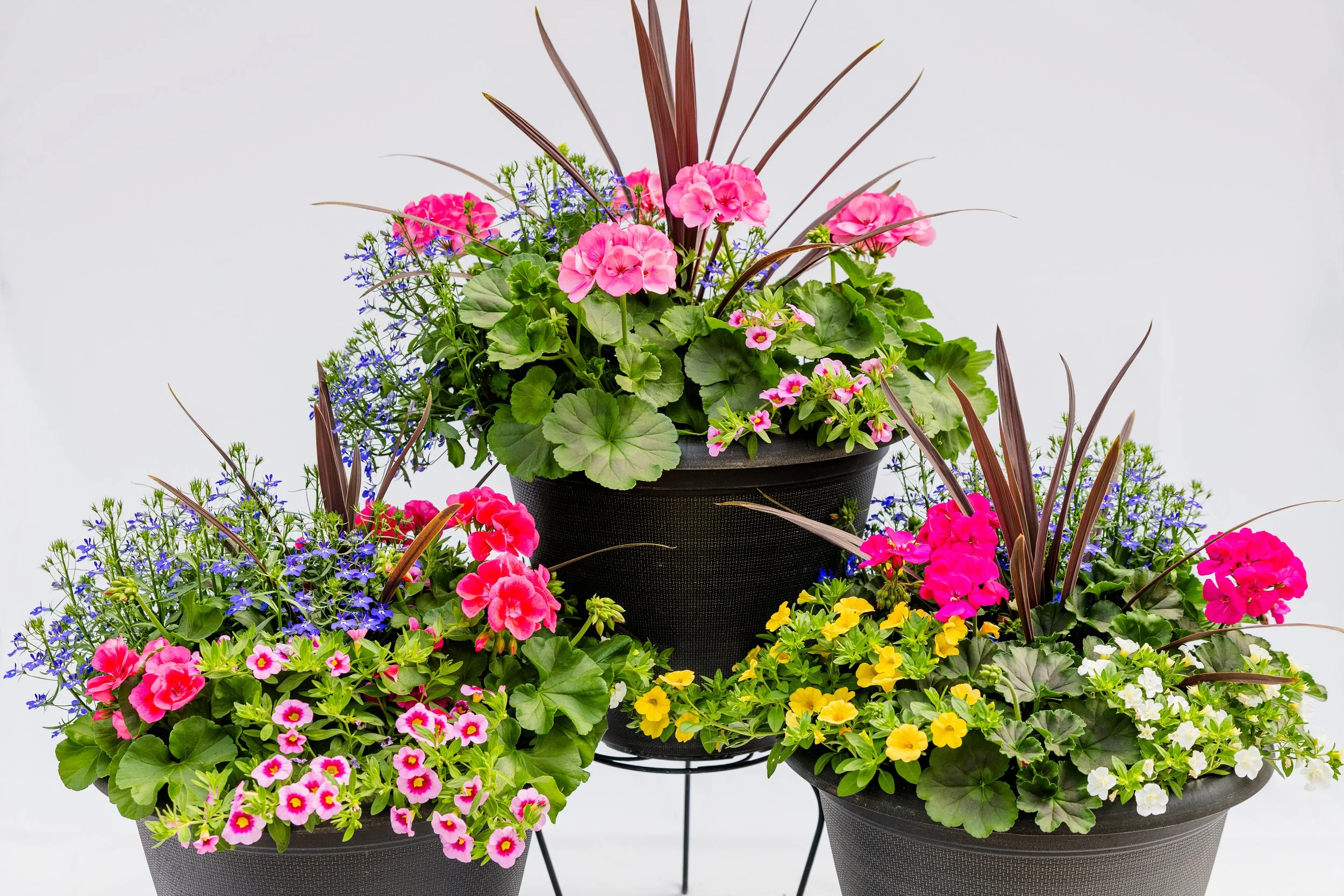 Theisen's Greenhouse-4305.jpg