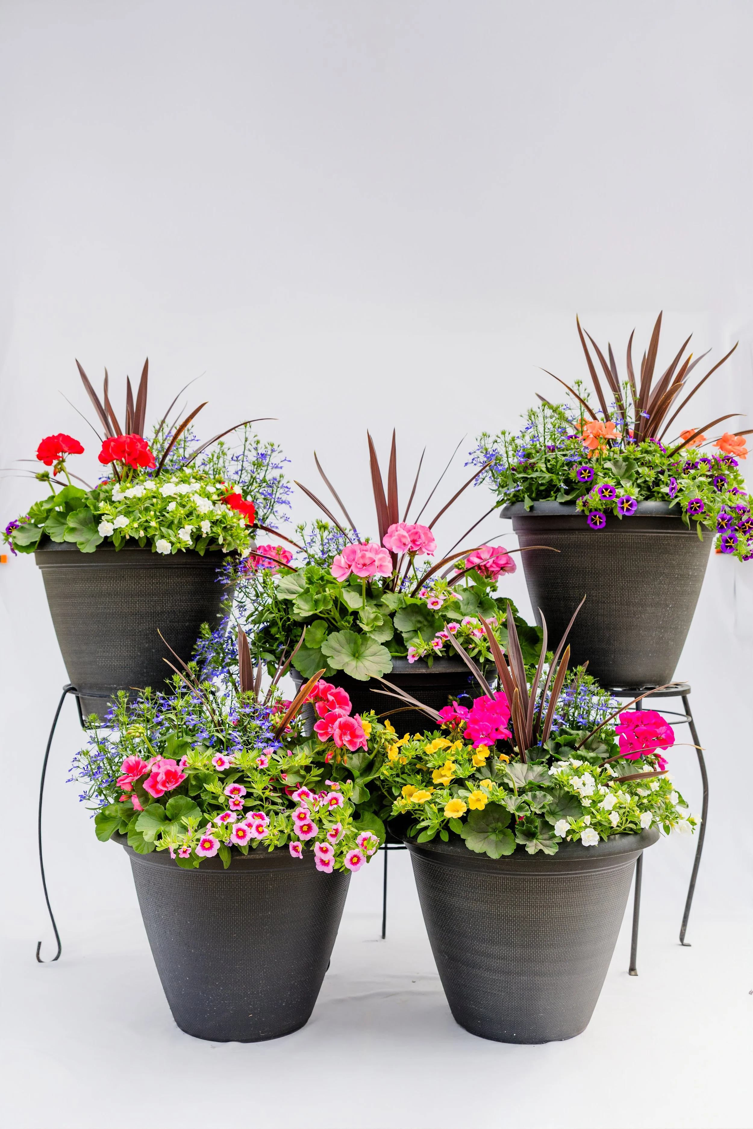 Theisen's Greenhouse-4306.jpg
