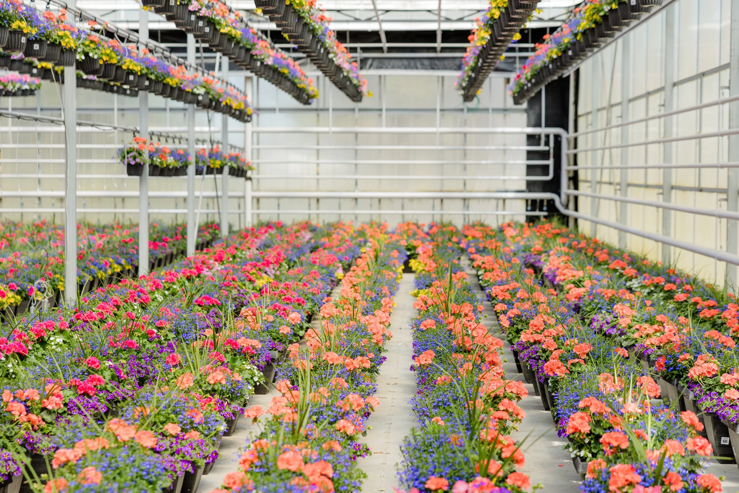 Theisen's Greenhouse-4428.jpg