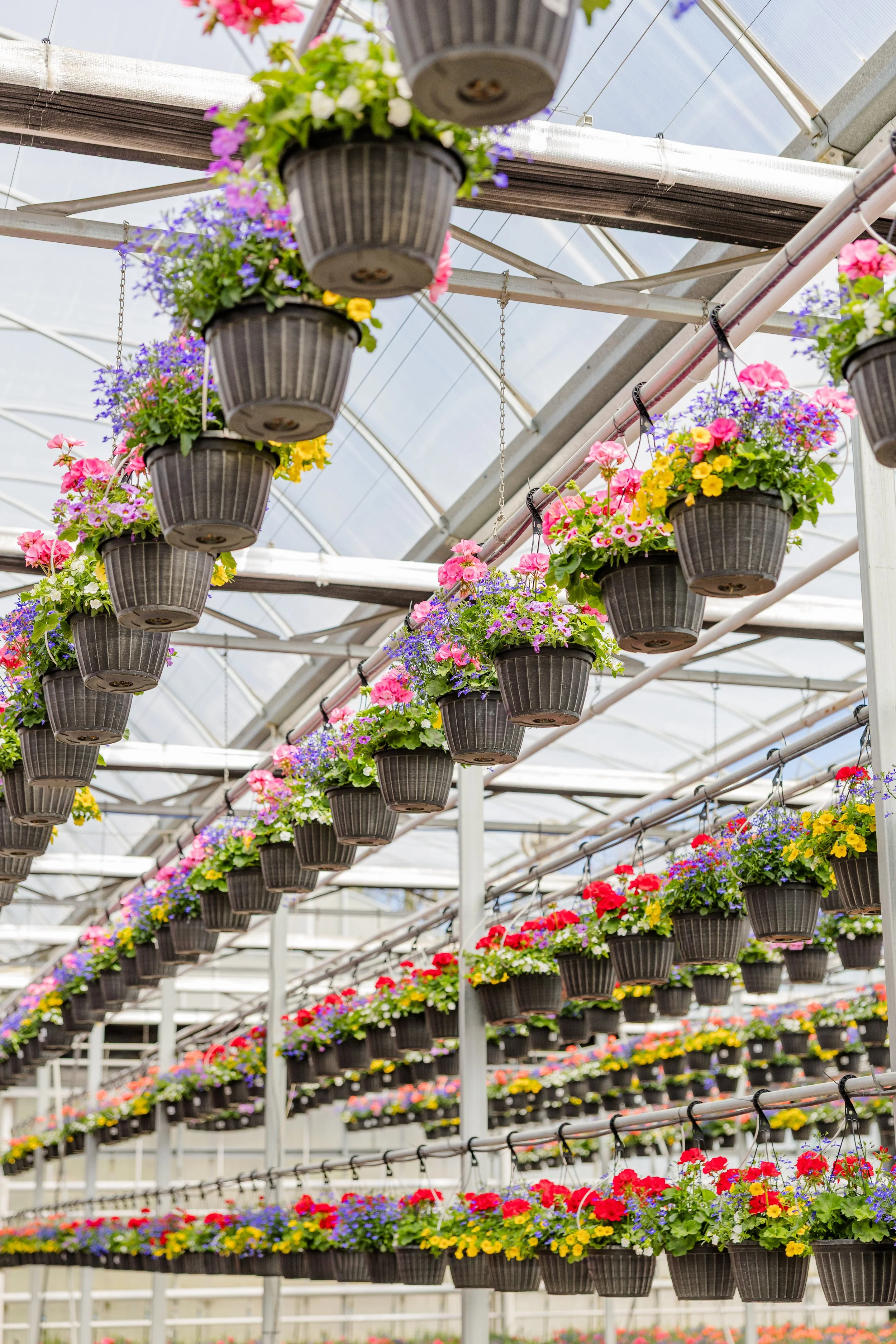 Theisen's Greenhouse-4405.jpg