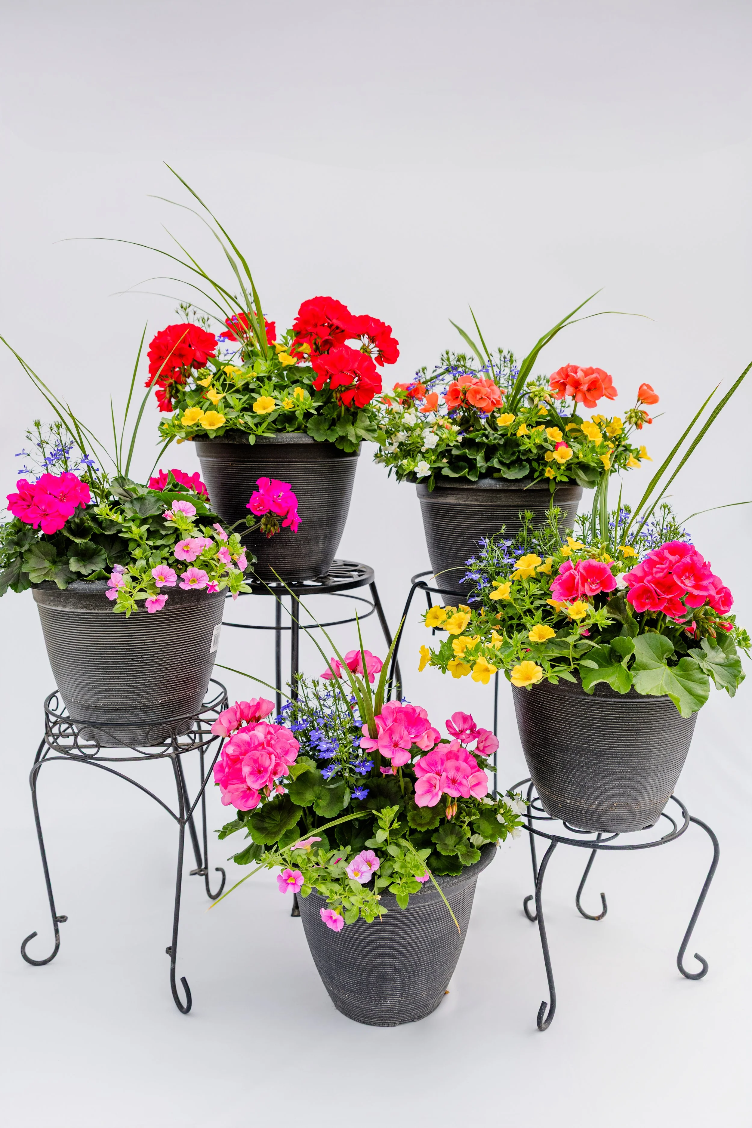 Theisen's Greenhouse-4113.jpg
