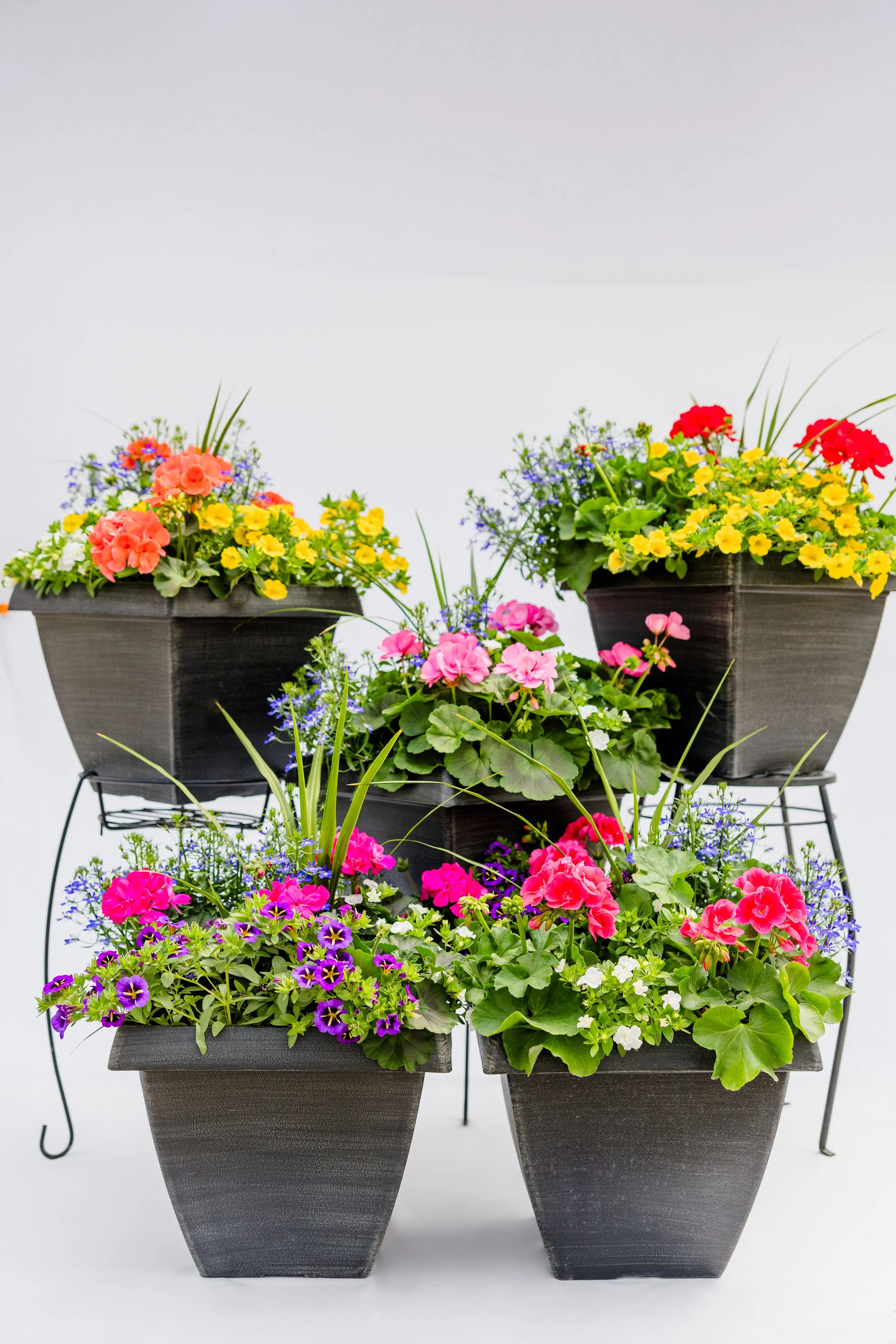Theisen's Greenhouse-4219.jpg