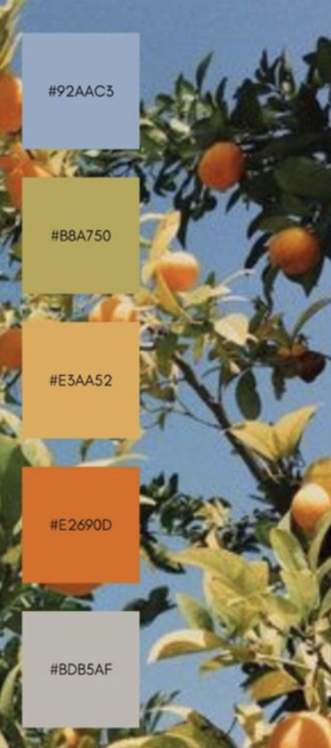 Screenshot 2025-12-14 at 3.37.21 PM.png