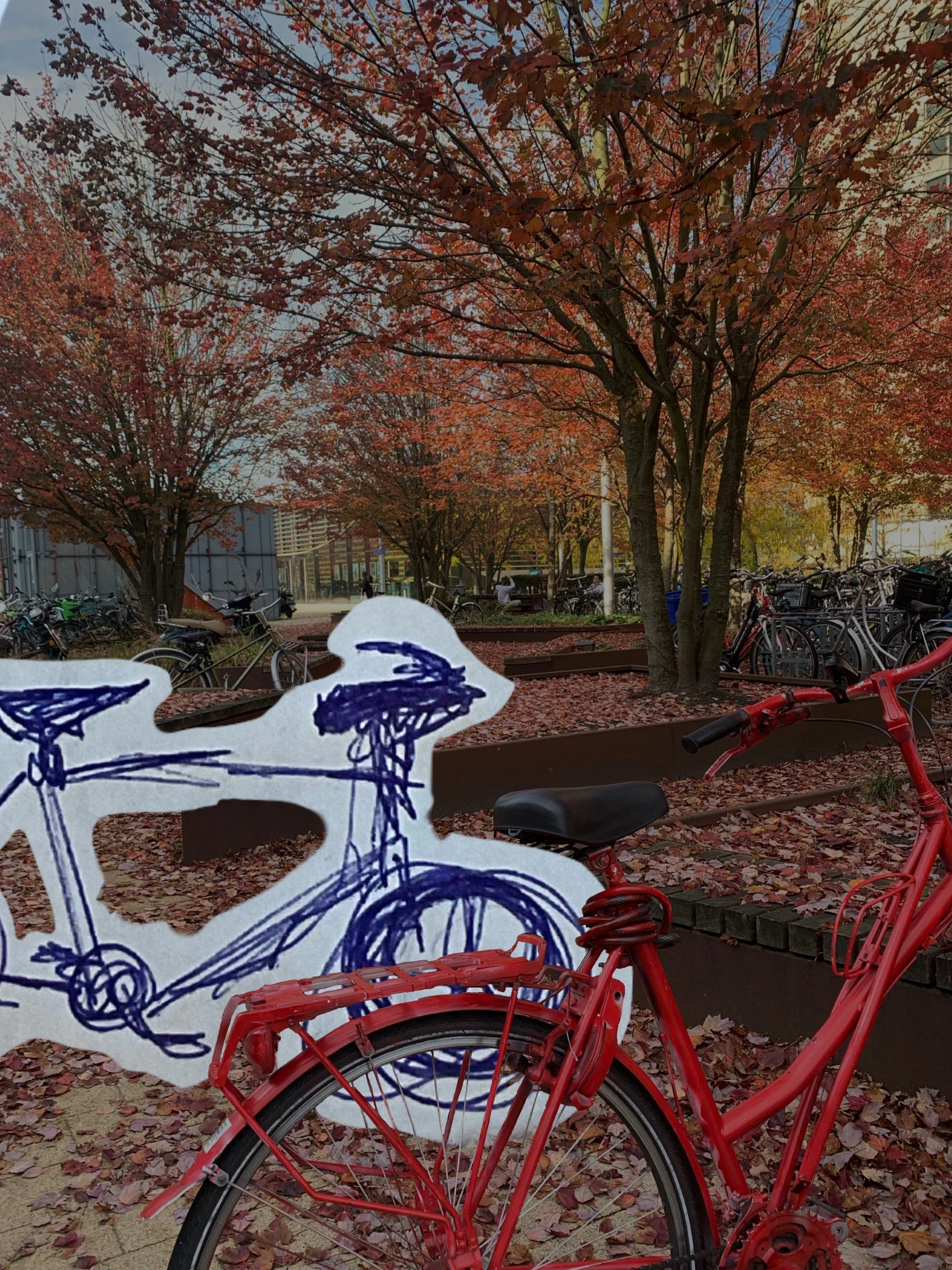 Memories through the eyes of the campus bike racks