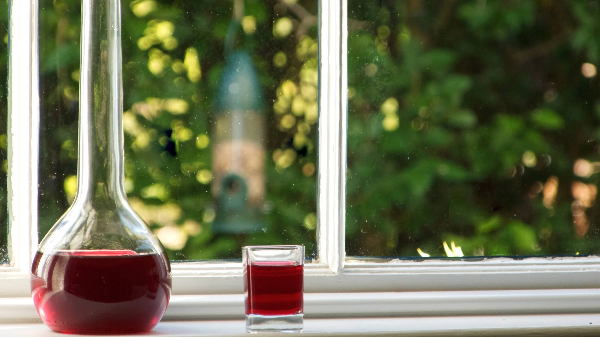 Elderberry & Blackberry Wine