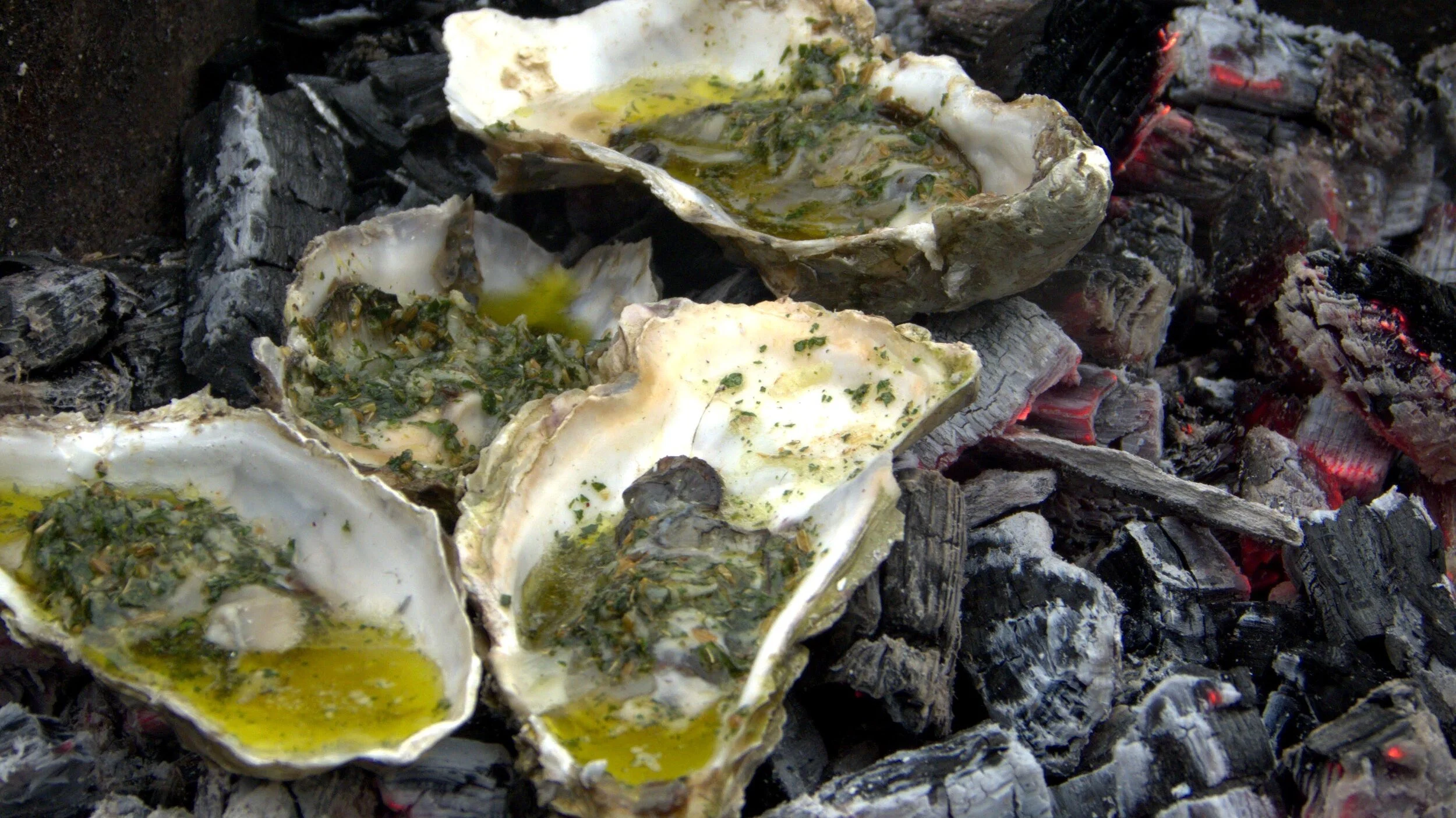 Ember baked oysters