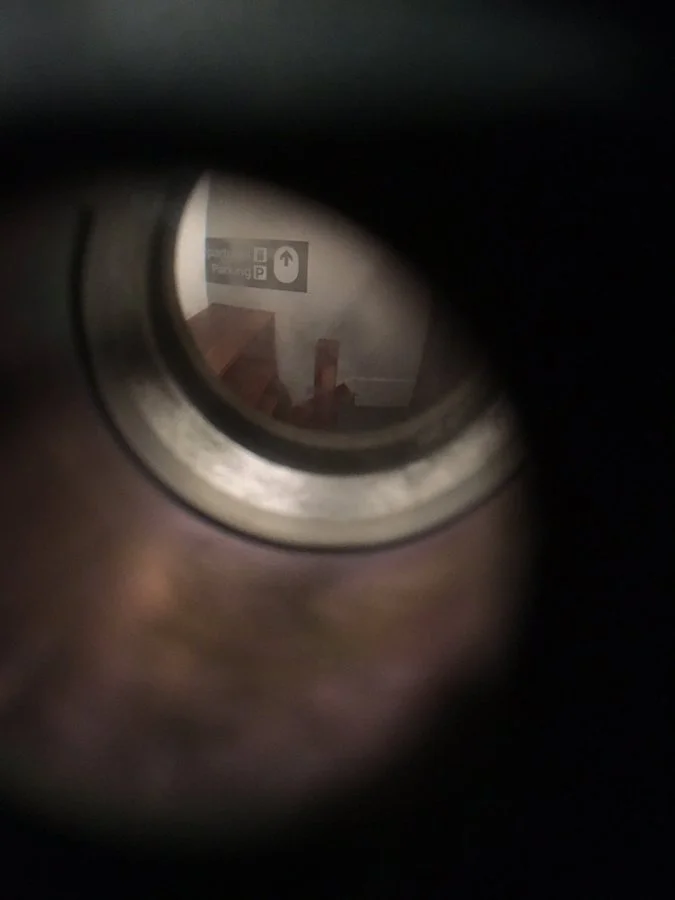 The Ghost in the Machine: The Viral Twitter Haunting of "Dear David"