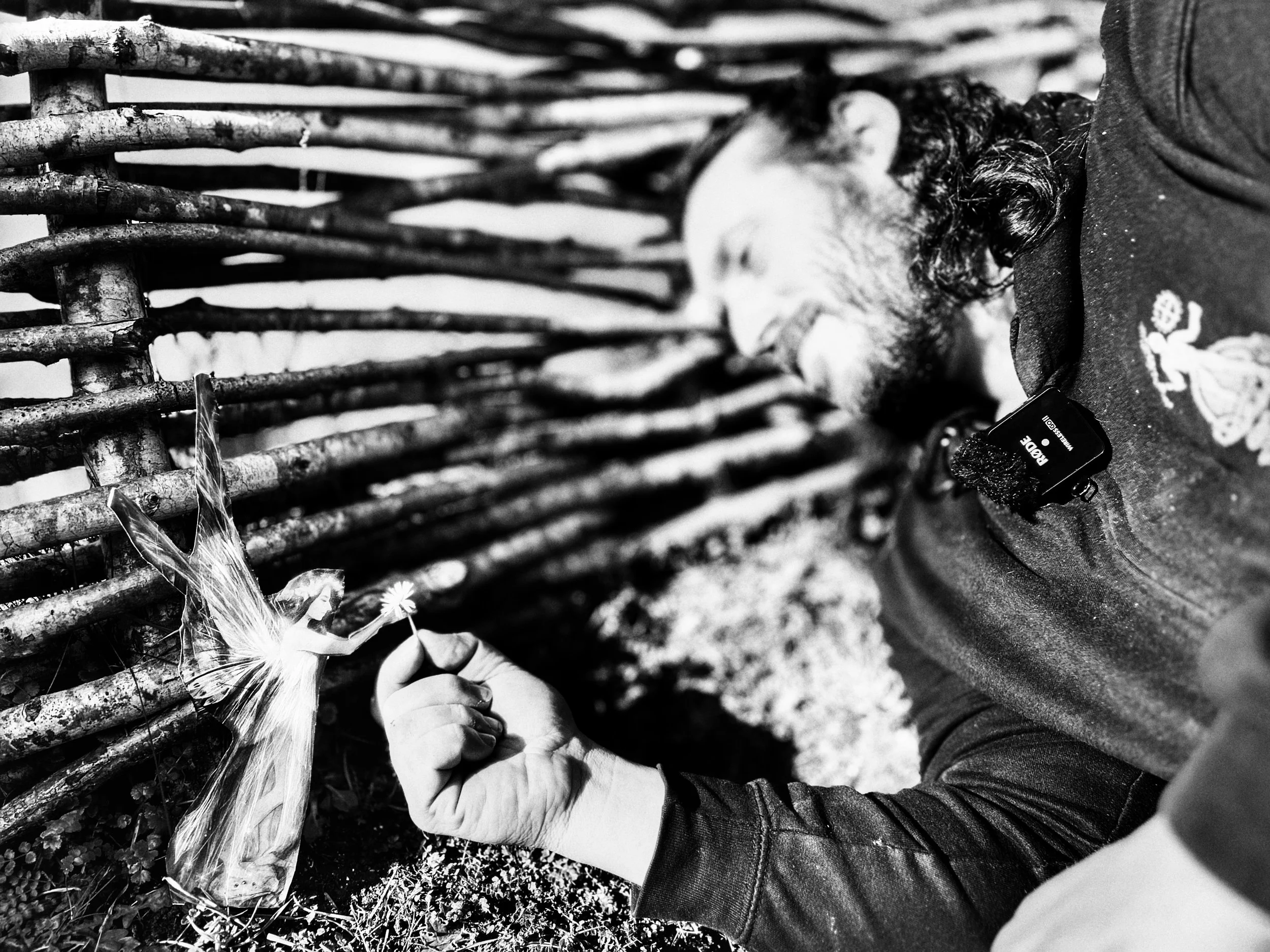 Fairies: The Cottingley Mystery (The Hidden Layer &amp; The Fairy Census)