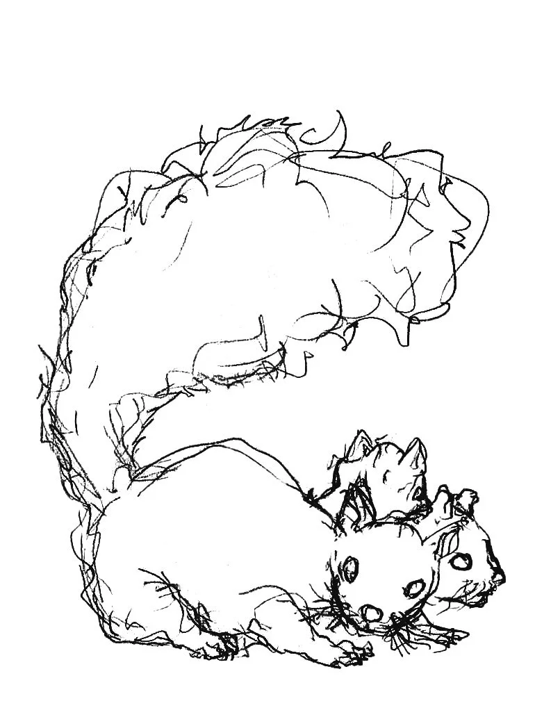 Squirrel Gang Apparel