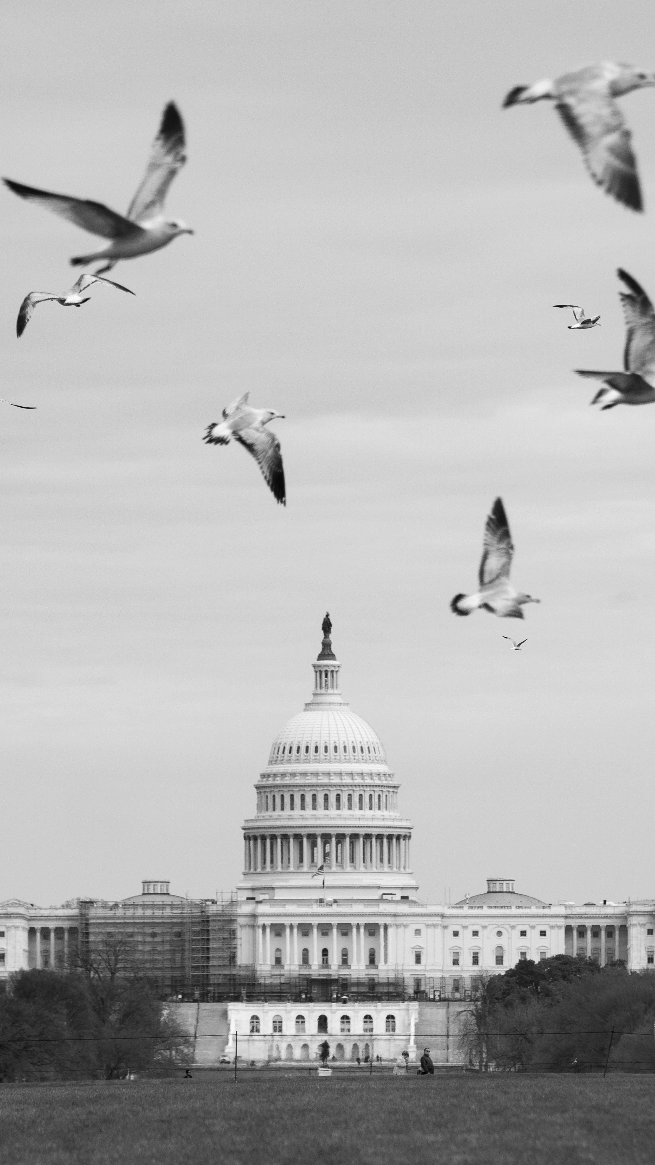 Legislative Pre-filing: Why It Matters for Your Business