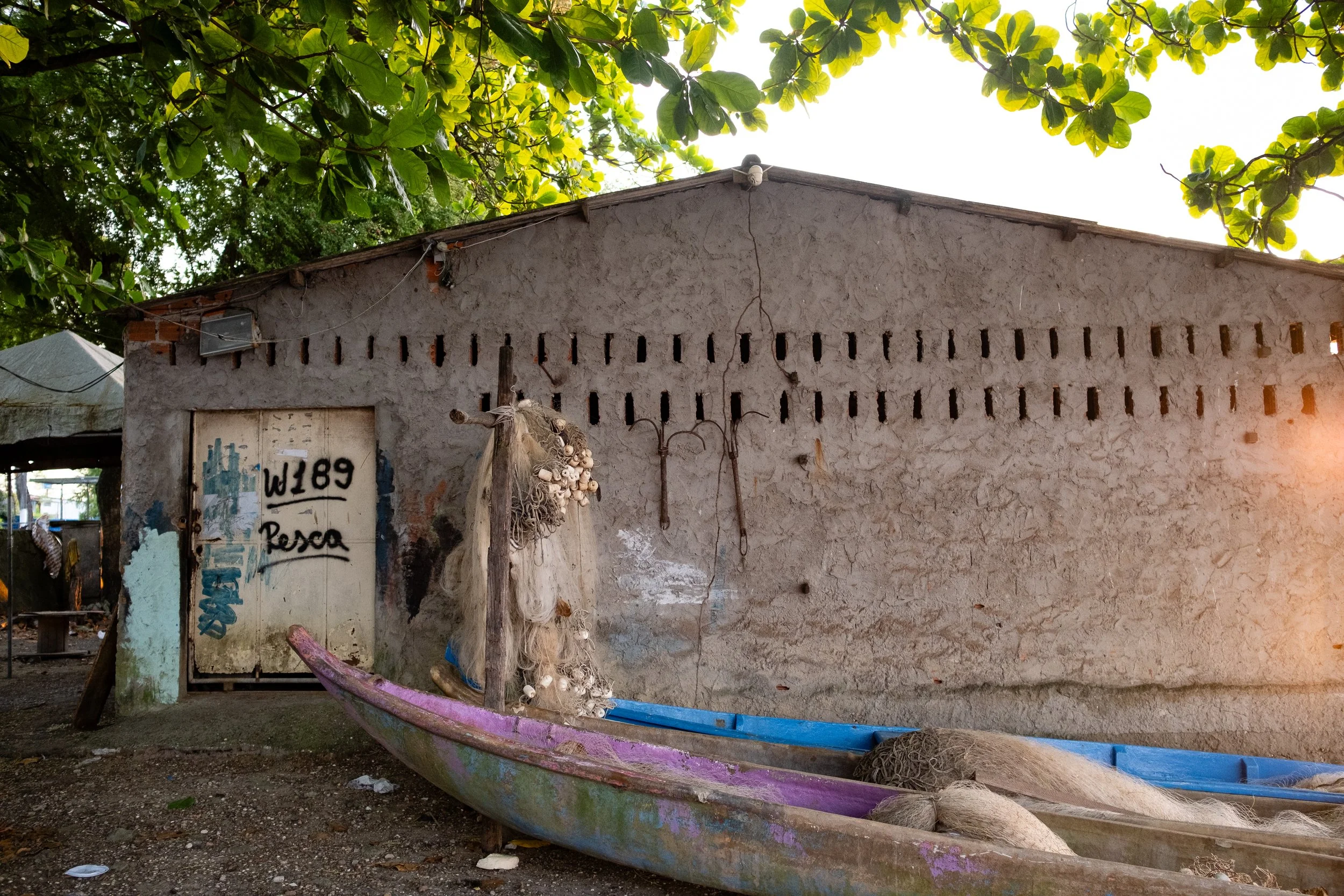 projeto-mangue-56.jpg