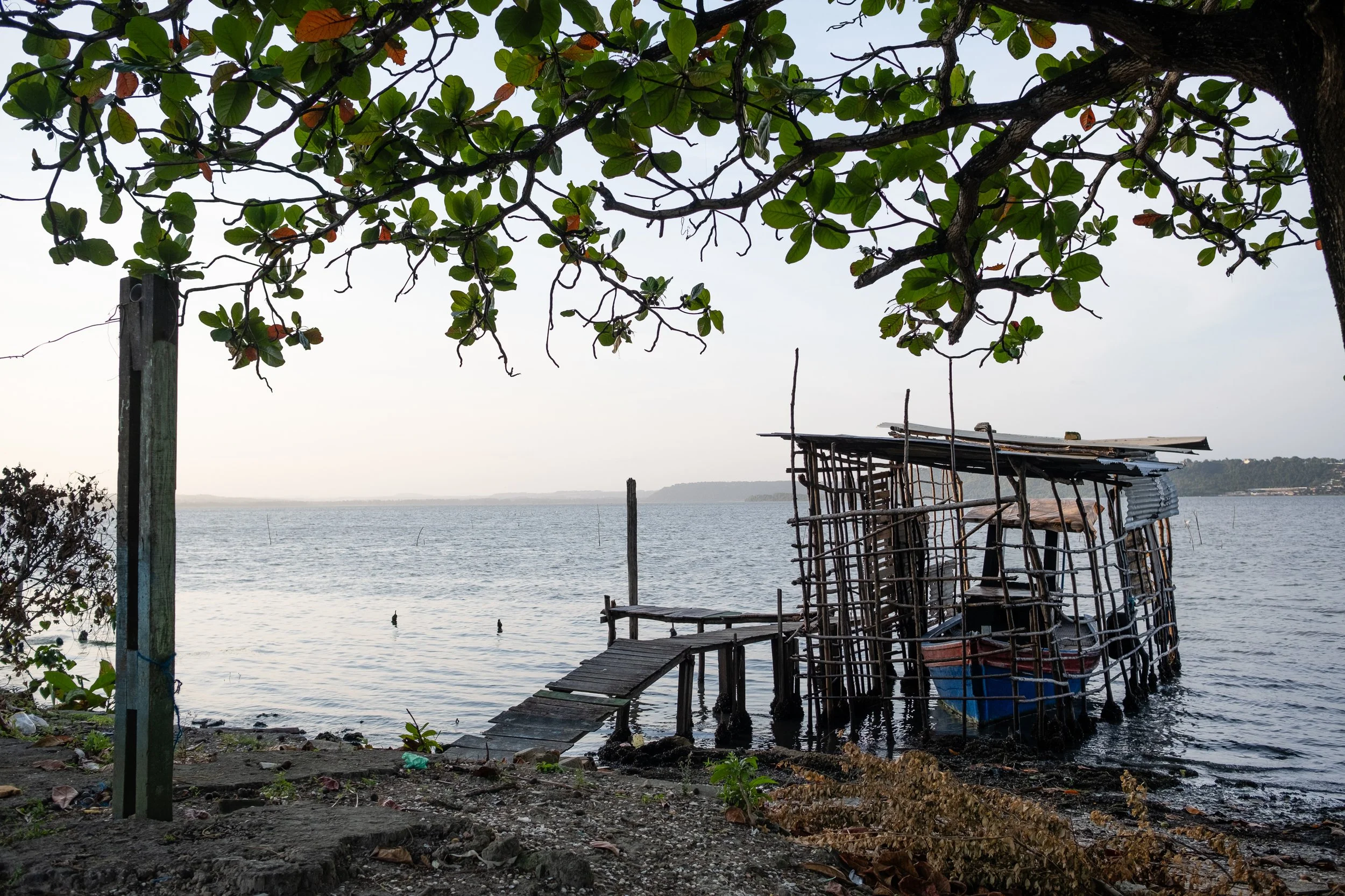 projeto-mangue-78.jpg