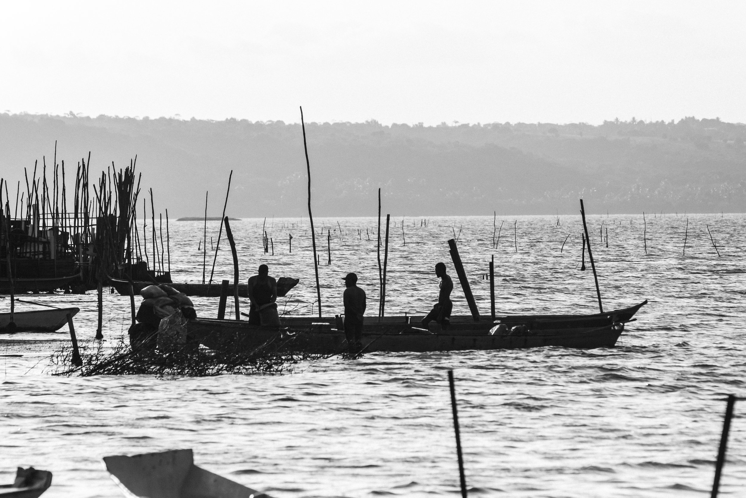projeto-mangue-64.jpg