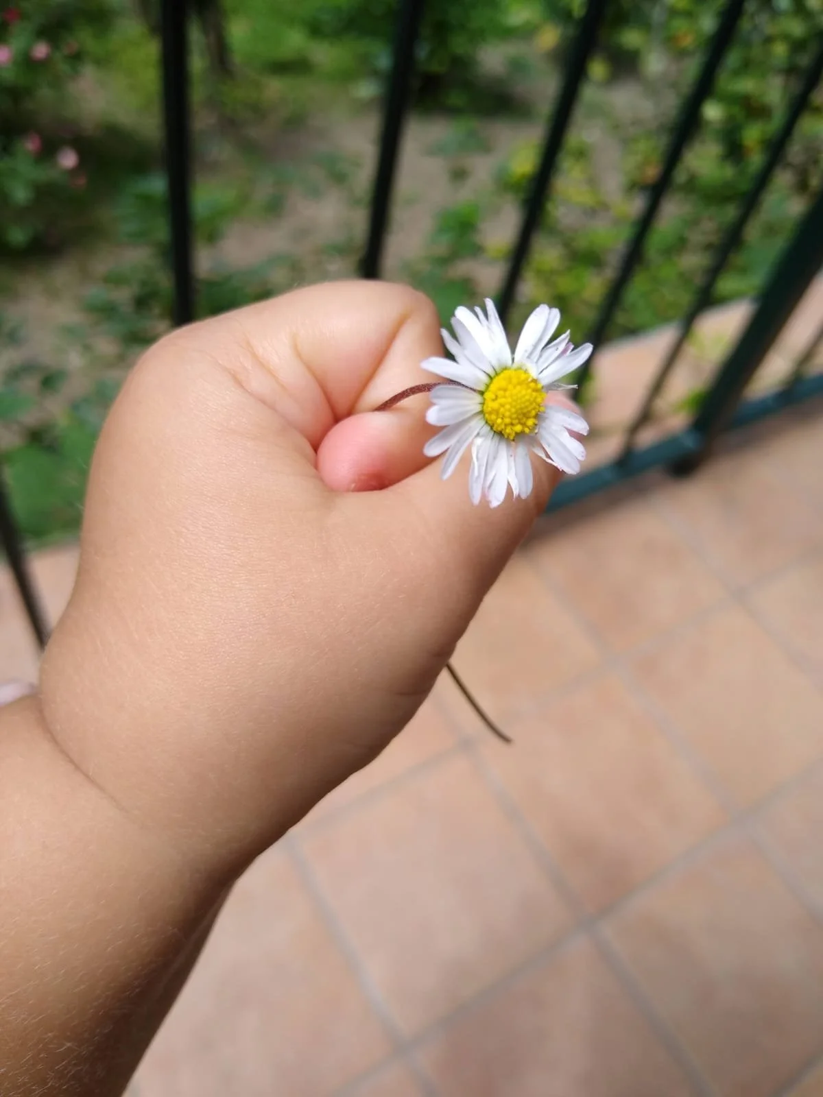 WhatsApp Image 2026-02-06 at 10.54.32.jpeg