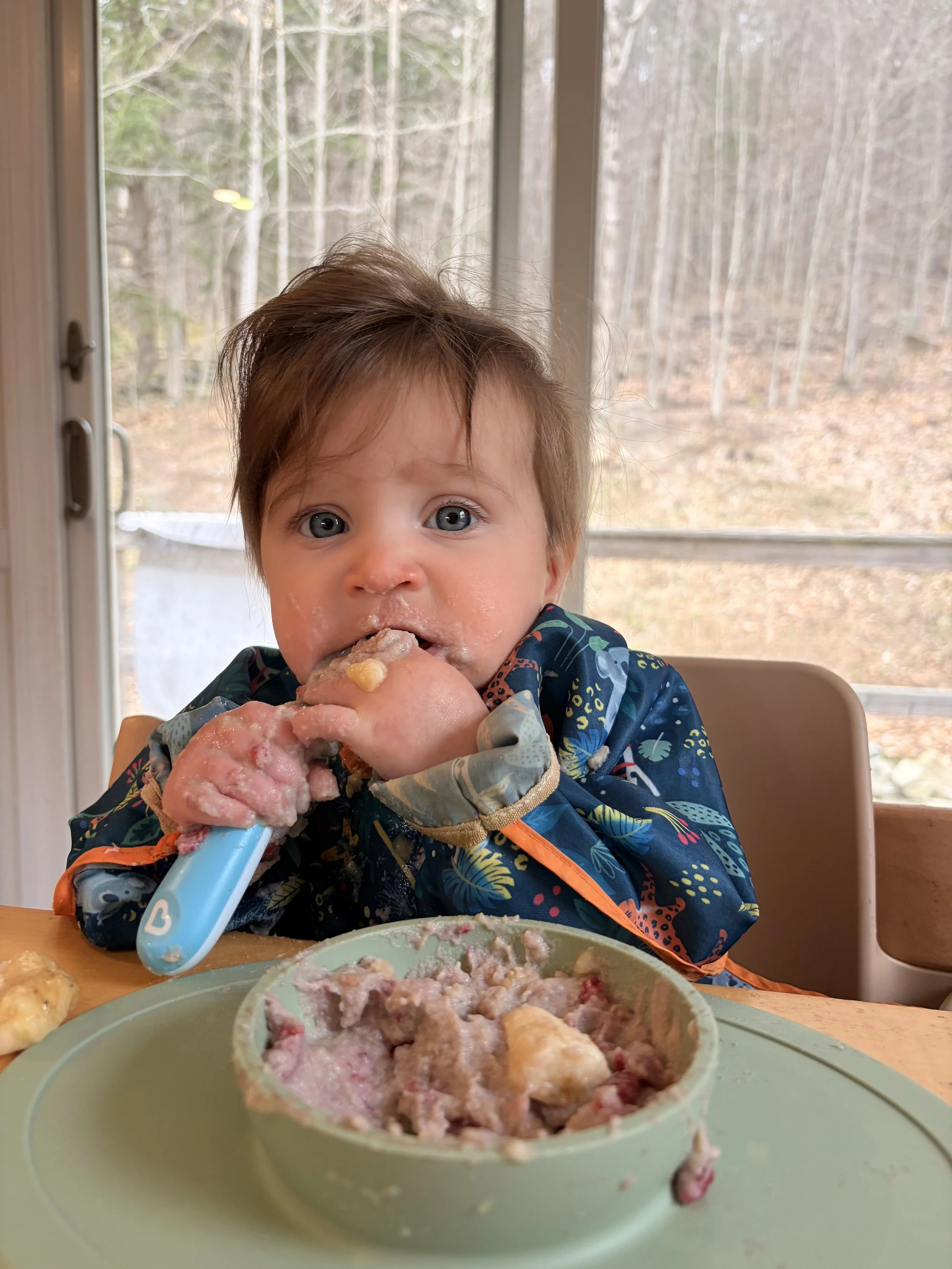 A young boy with brown hair and blue eyes sitting at a table, holding a spoon covered with food, with a bowl of cooked fruit or berries in front of him, near a window with trees outside.