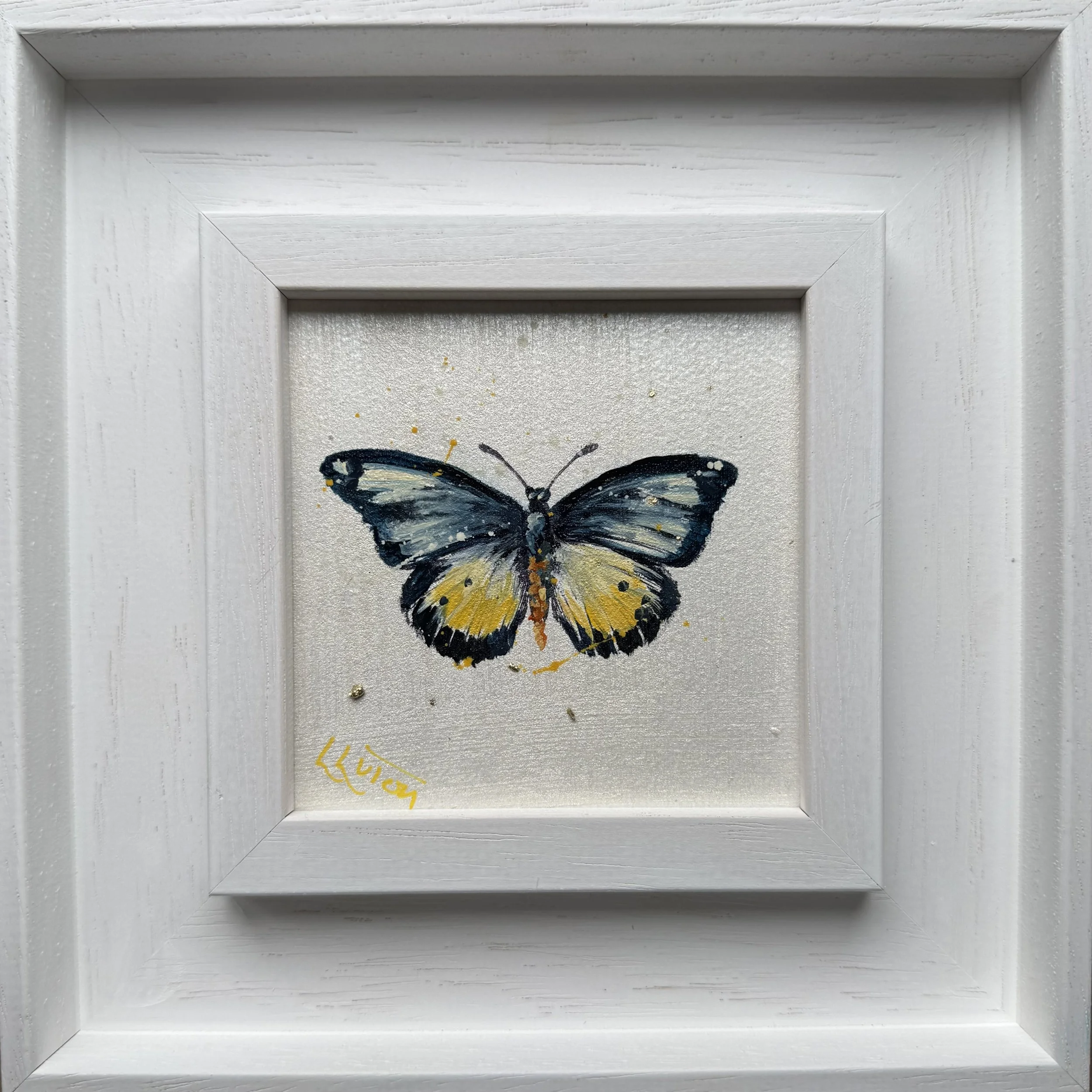 Indigo mist butterfly by Louise Luton.jpeg