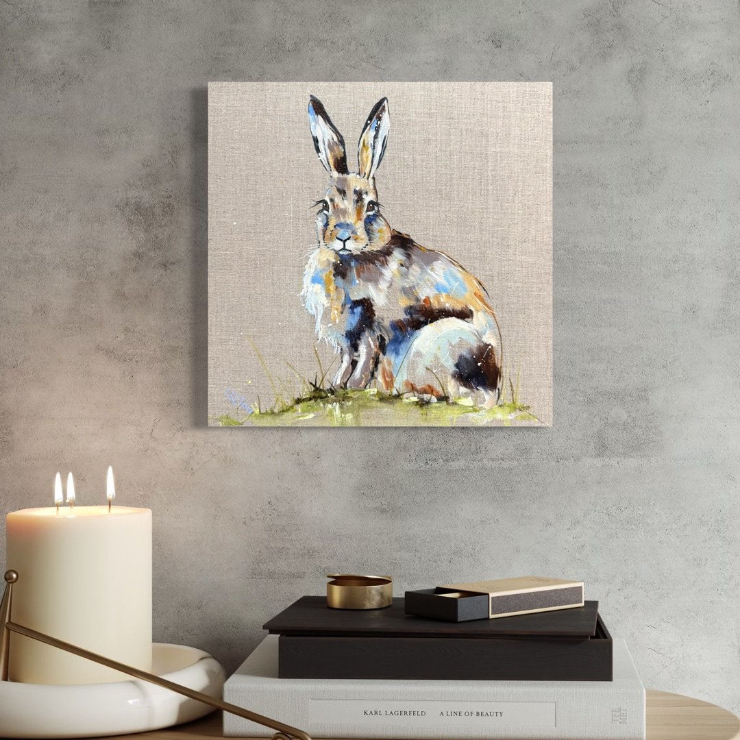 LIttle mountian hare in room setting.jpg