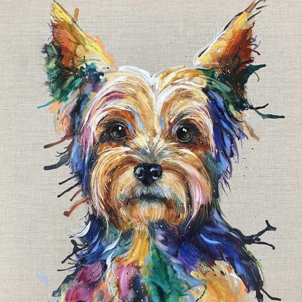 Yorkie by Louise Luton.jpeg